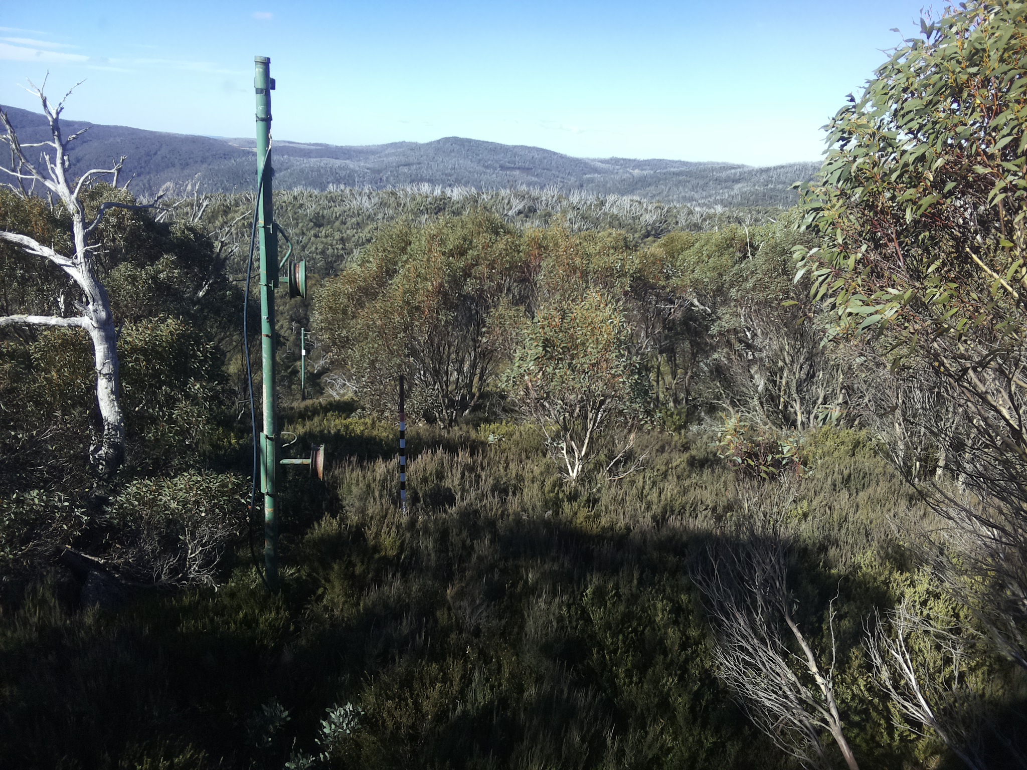 Bogong Web Cam 10:40am Sunday 25th of May 2025