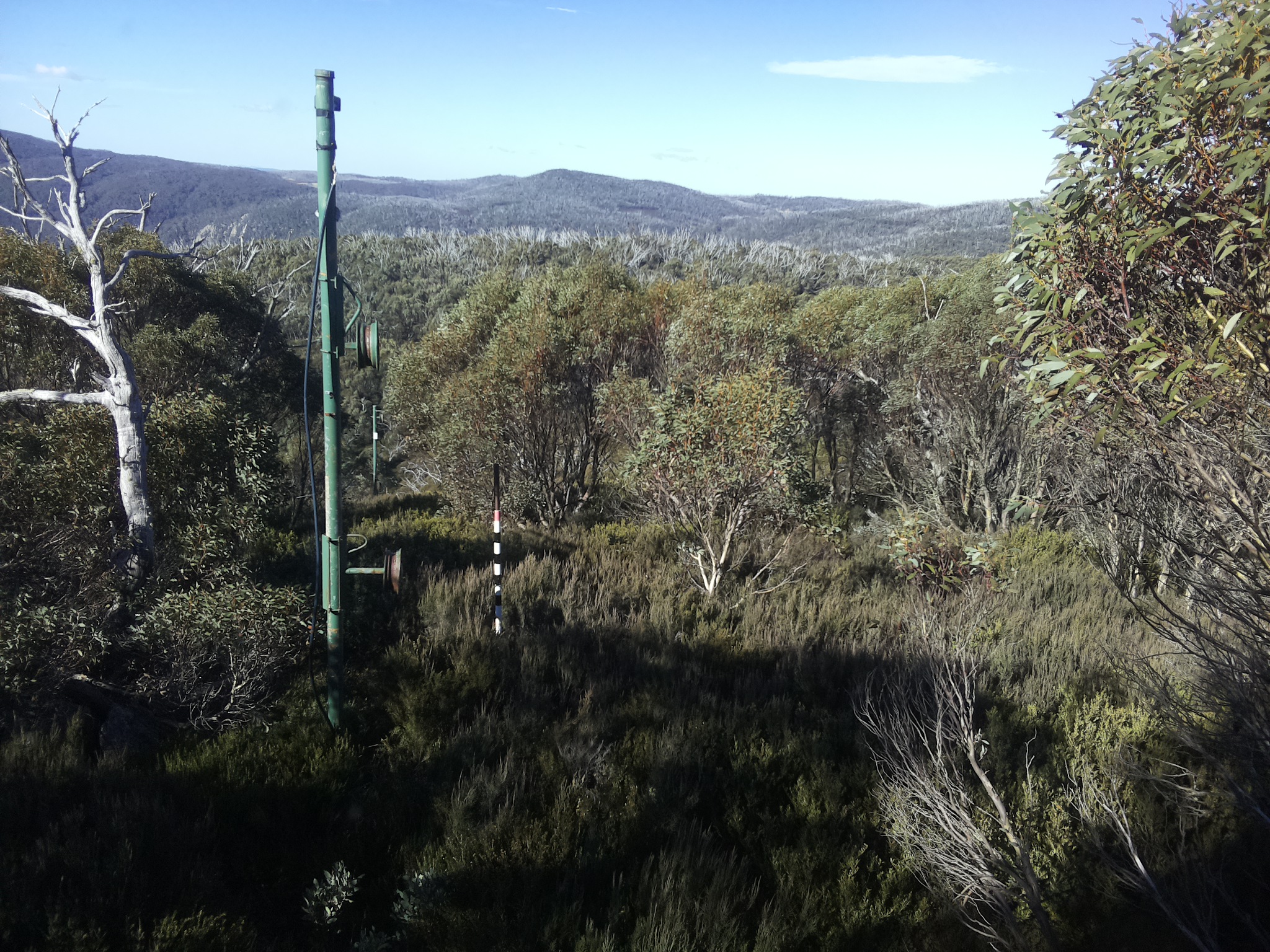 Bogong Web Cam 10:50am Sunday 25th of May 2025