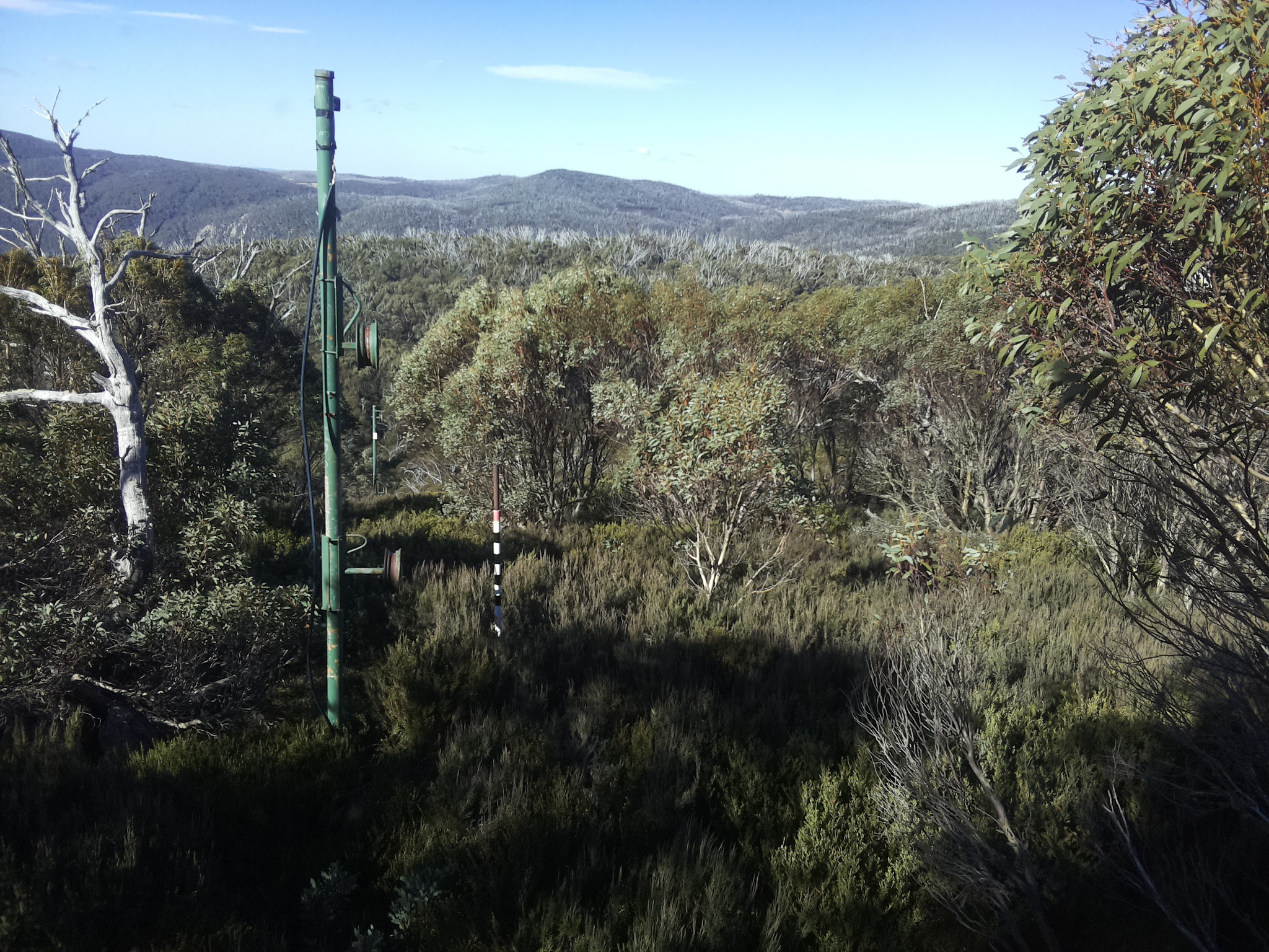 Bogong Web Cam 11:00am Sunday 25th of May 2025