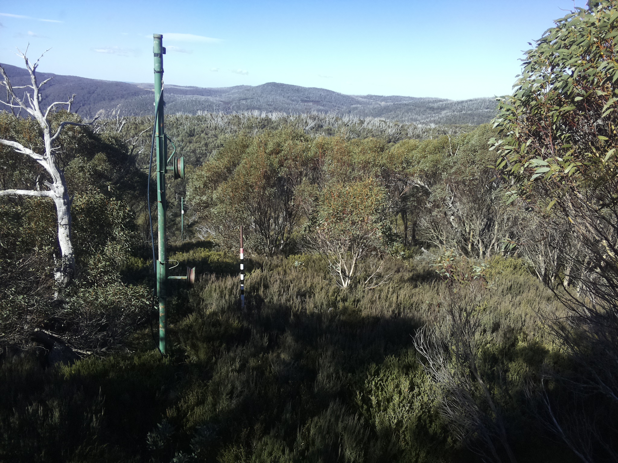 Bogong Web Cam 11:10am Sunday 25th of May 2025
