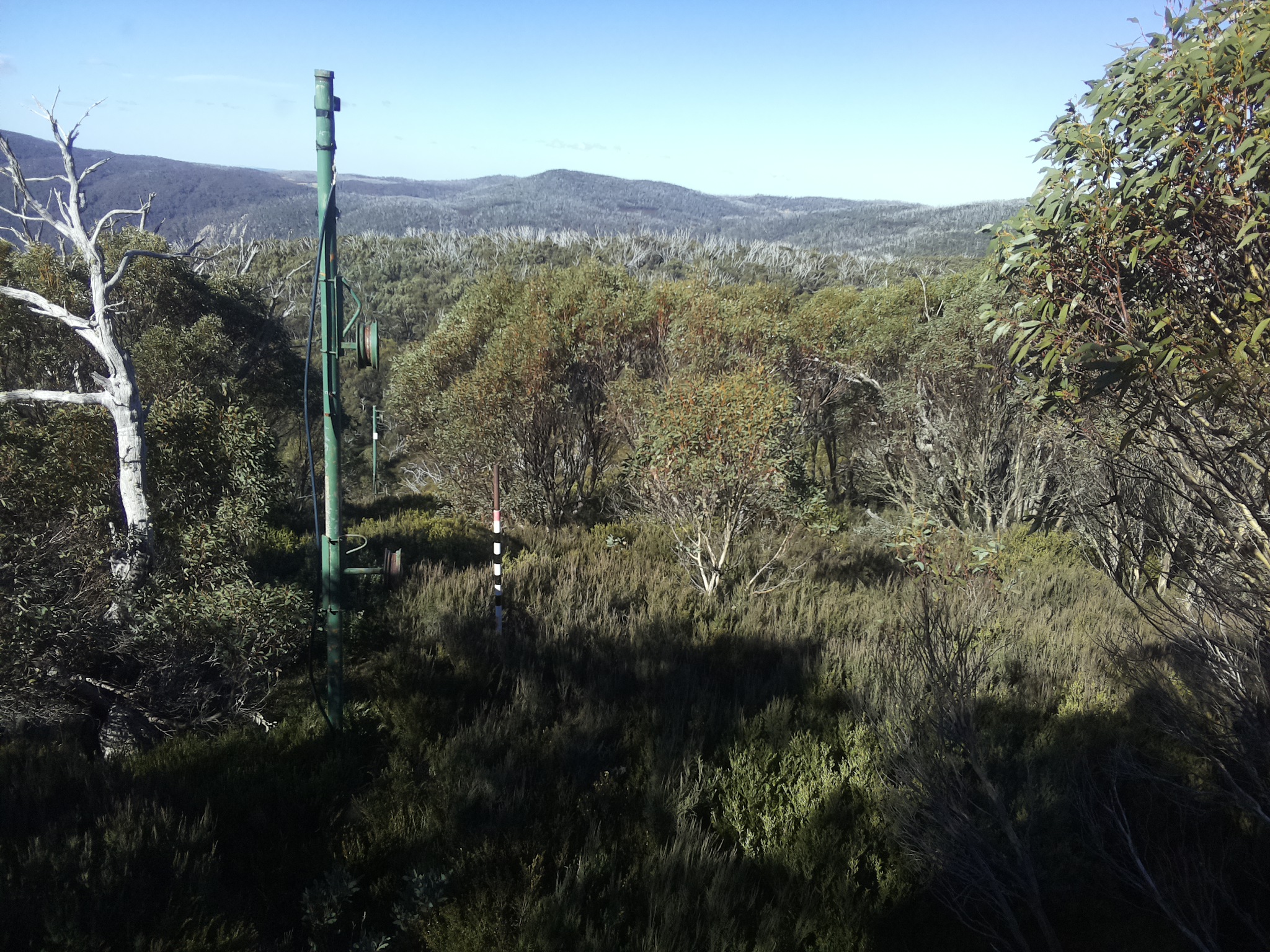 Bogong Web Cam 11:20am Sunday 25th of May 2025