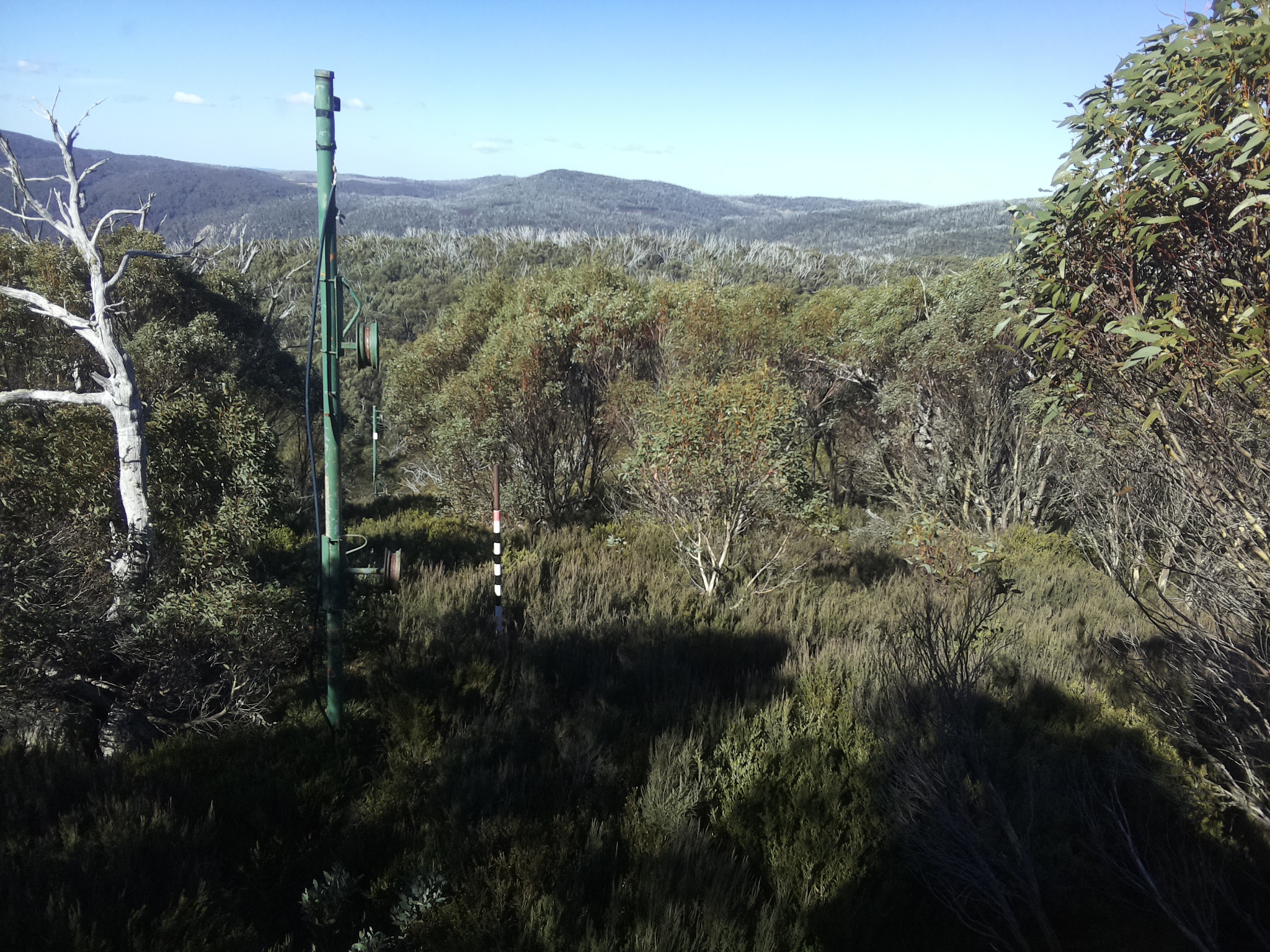 Bogong Web Cam 11:30am Sunday 25th of May 2025