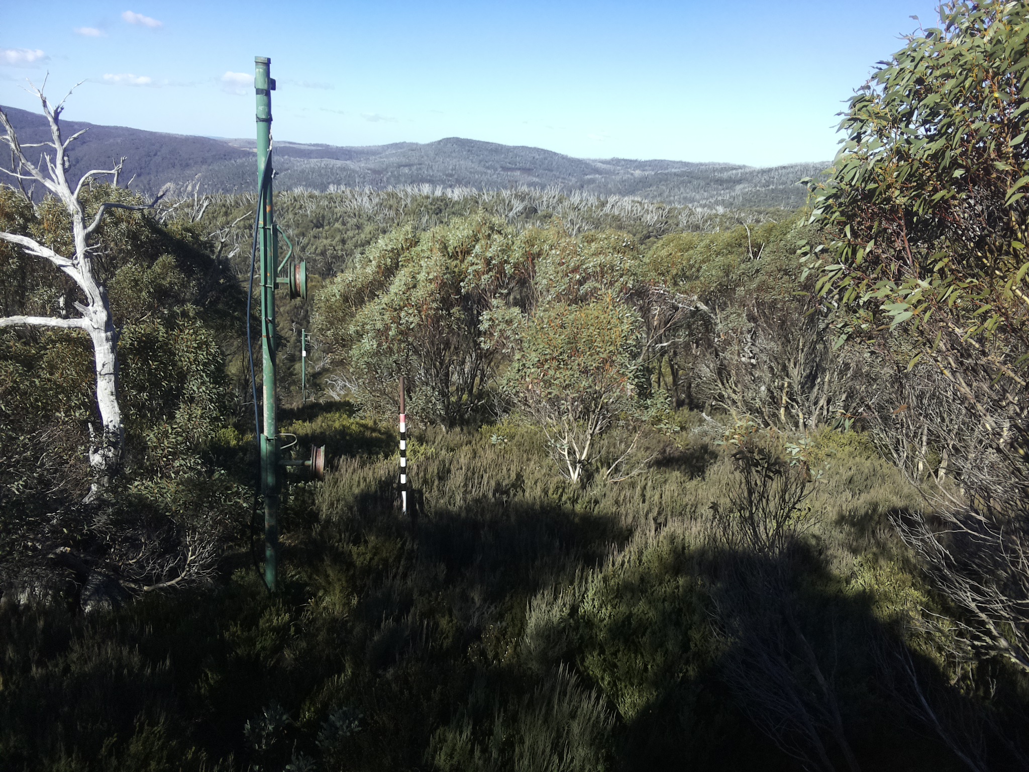 Bogong Web Cam 11:40am Sunday 25th of May 2025