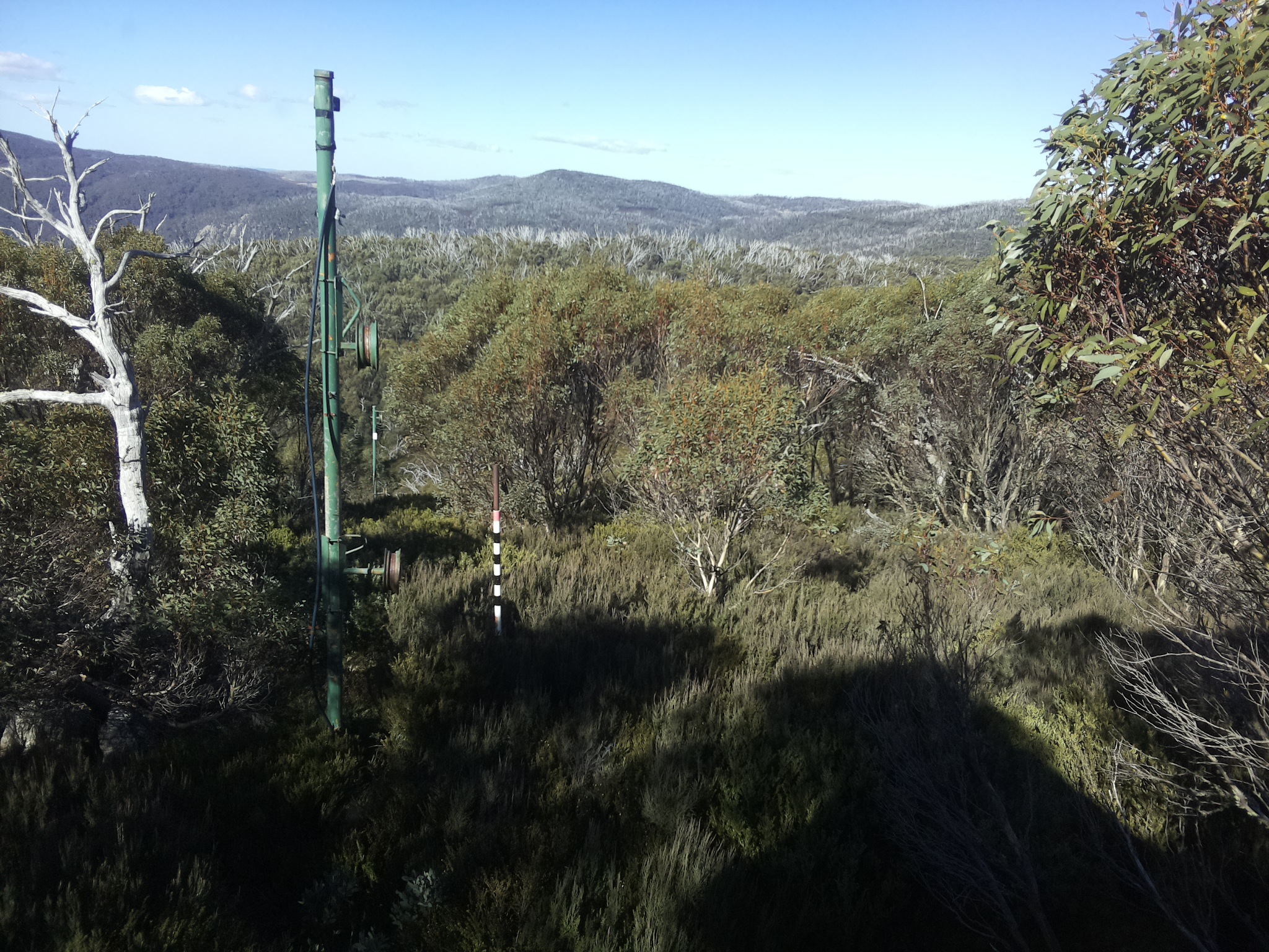 Bogong Web Cam 11:50am Sunday 25th of May 2025