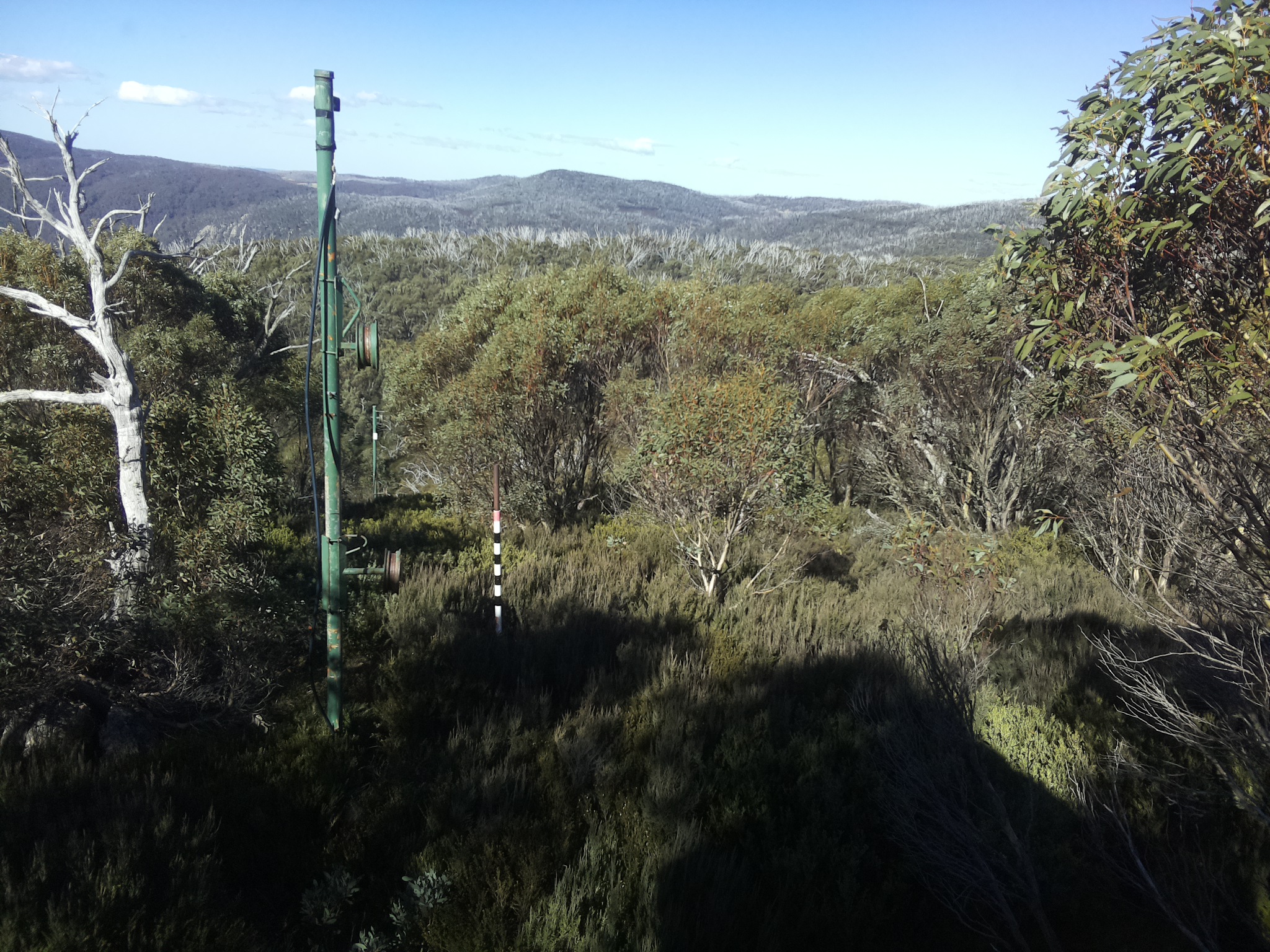 Bogong Web Cam 12:00pm Sunday 25th of May 2025