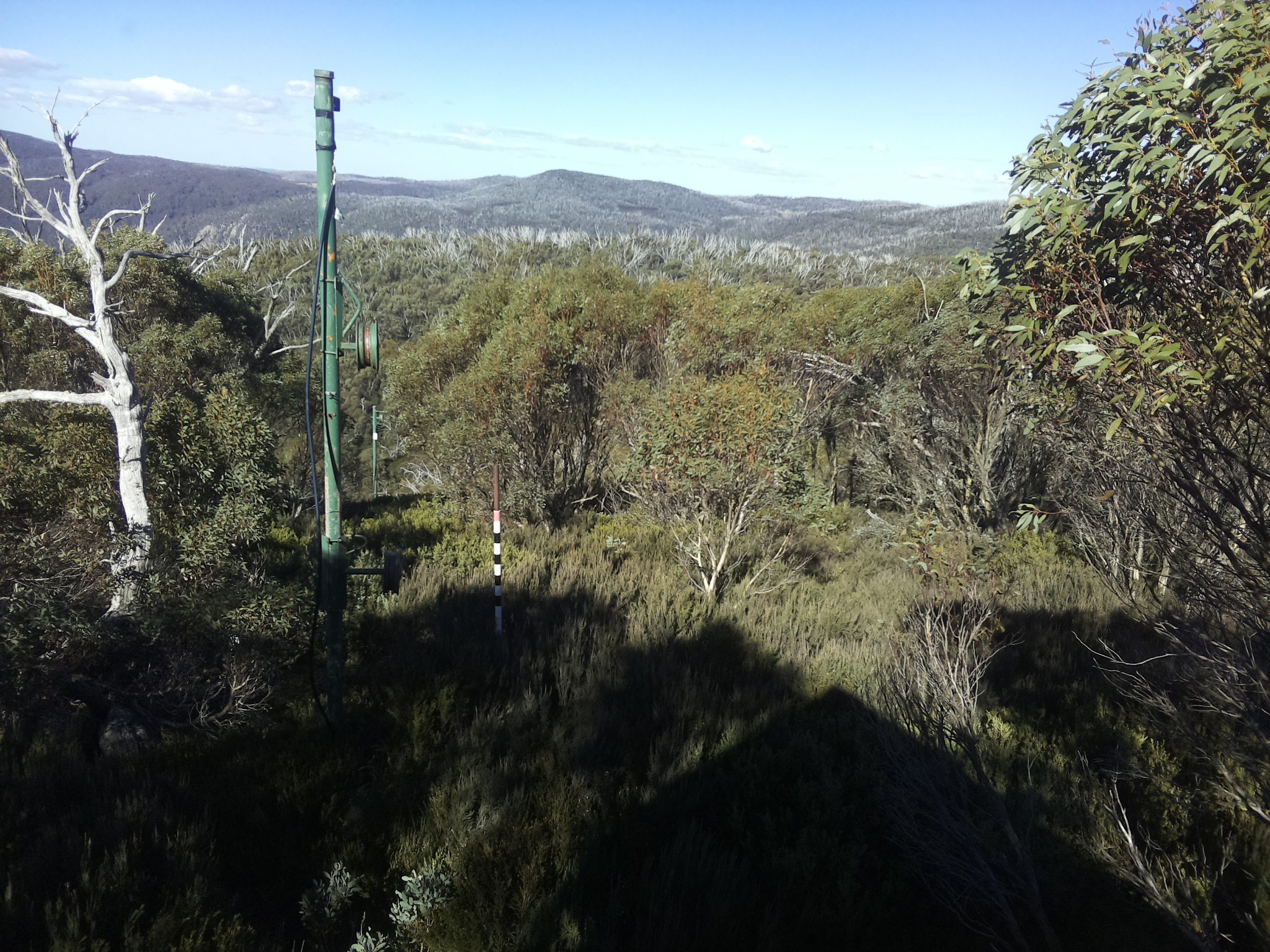 Bogong Web Cam 12:20pm Sunday 25th of May 2025