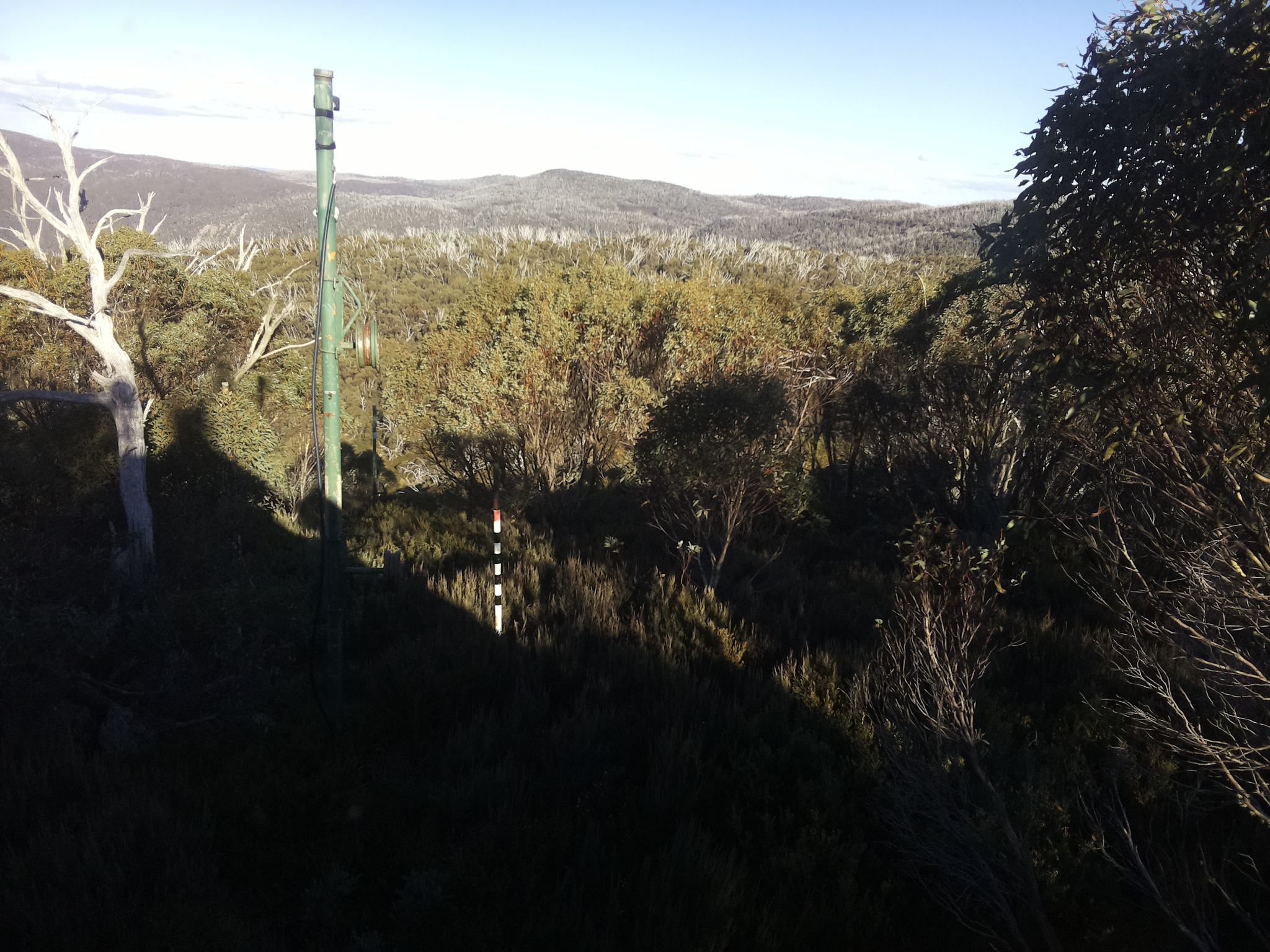 Bogong Web Cam 3:00pm Sunday 25th of May 2025