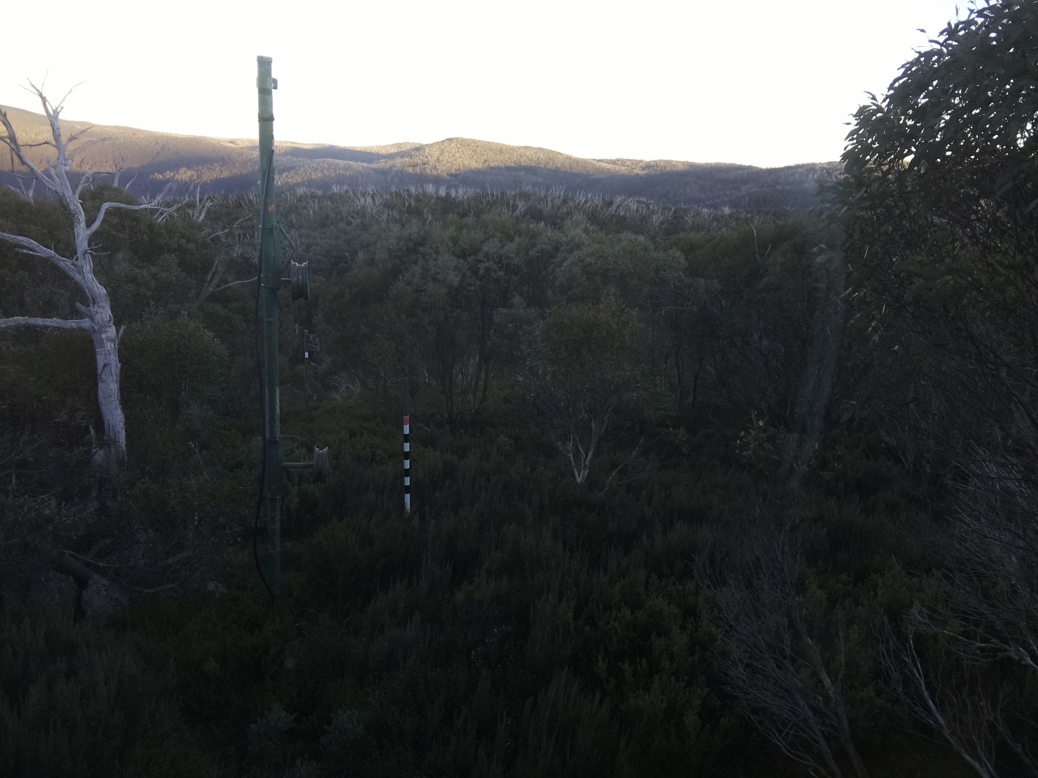 Bogong Web Cam 4:40pm Sunday 25th of May 2025