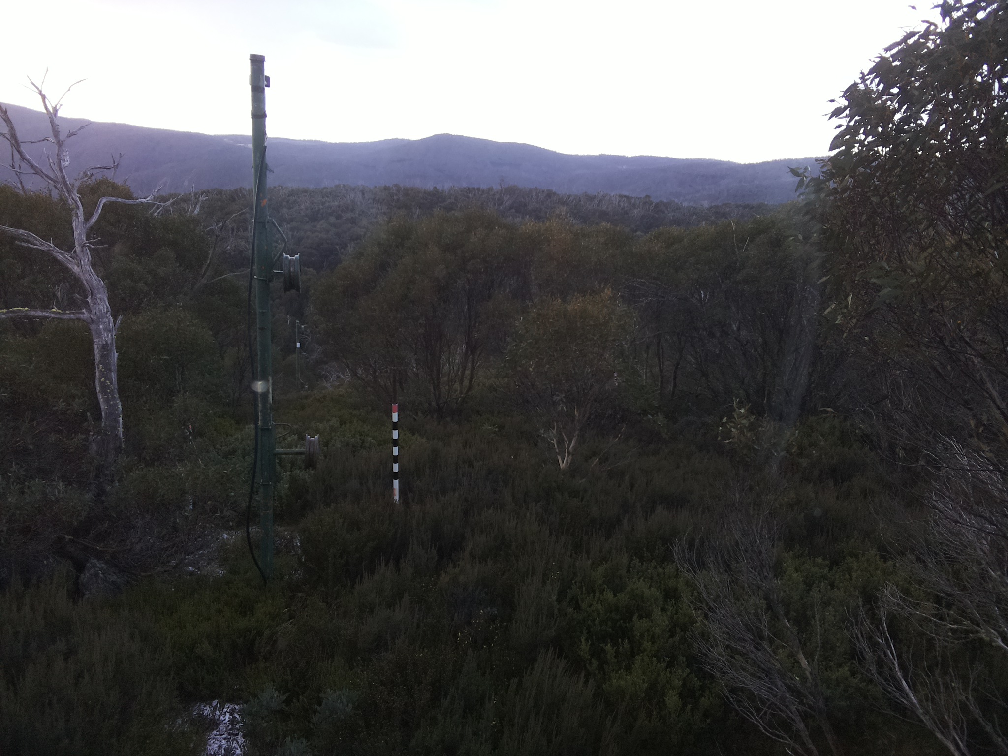 Bogong Web Cam 8:10am Monday 26th of May 2025