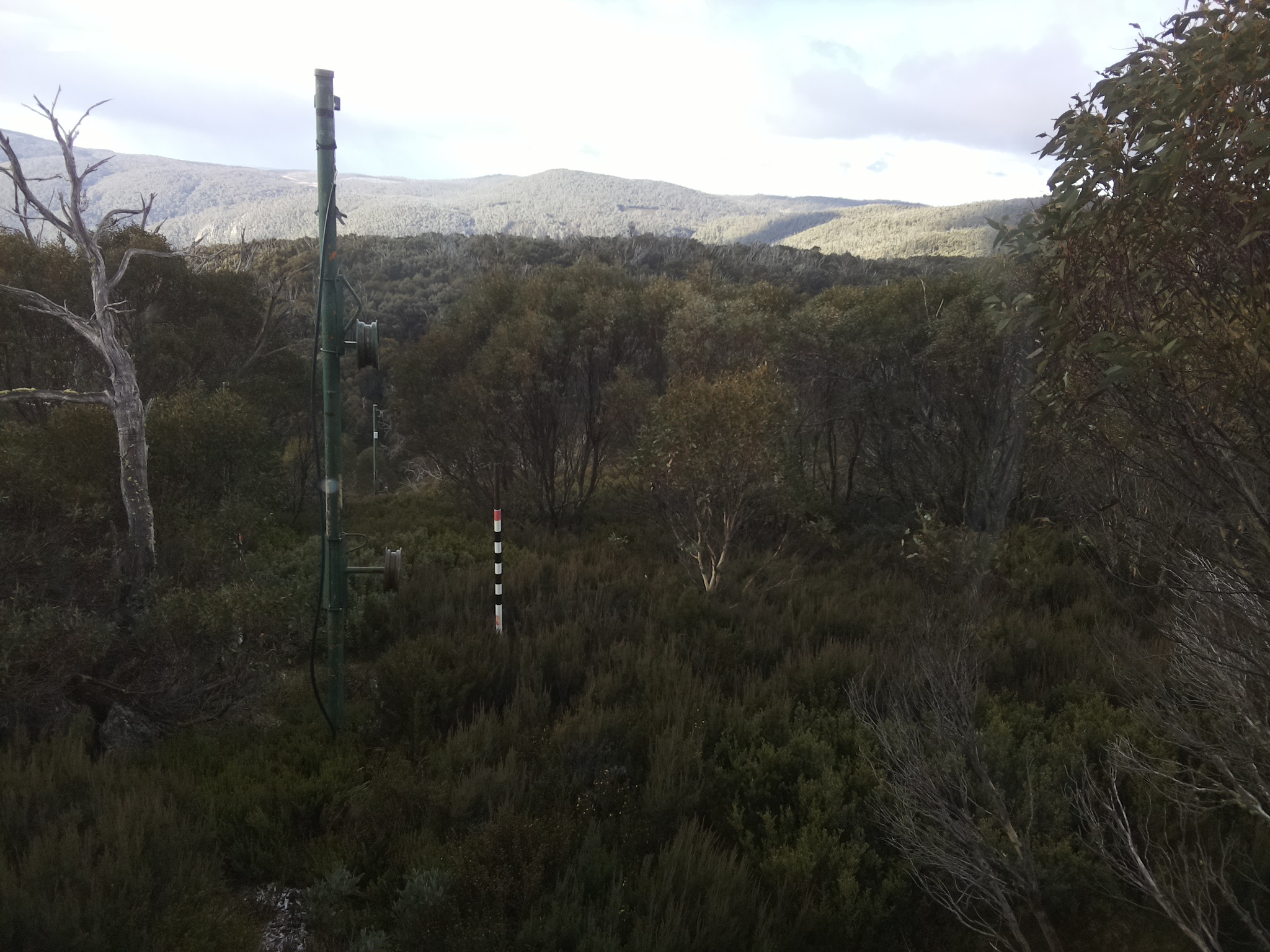 Bogong Web Cam 8:50am Monday 26th of May 2025