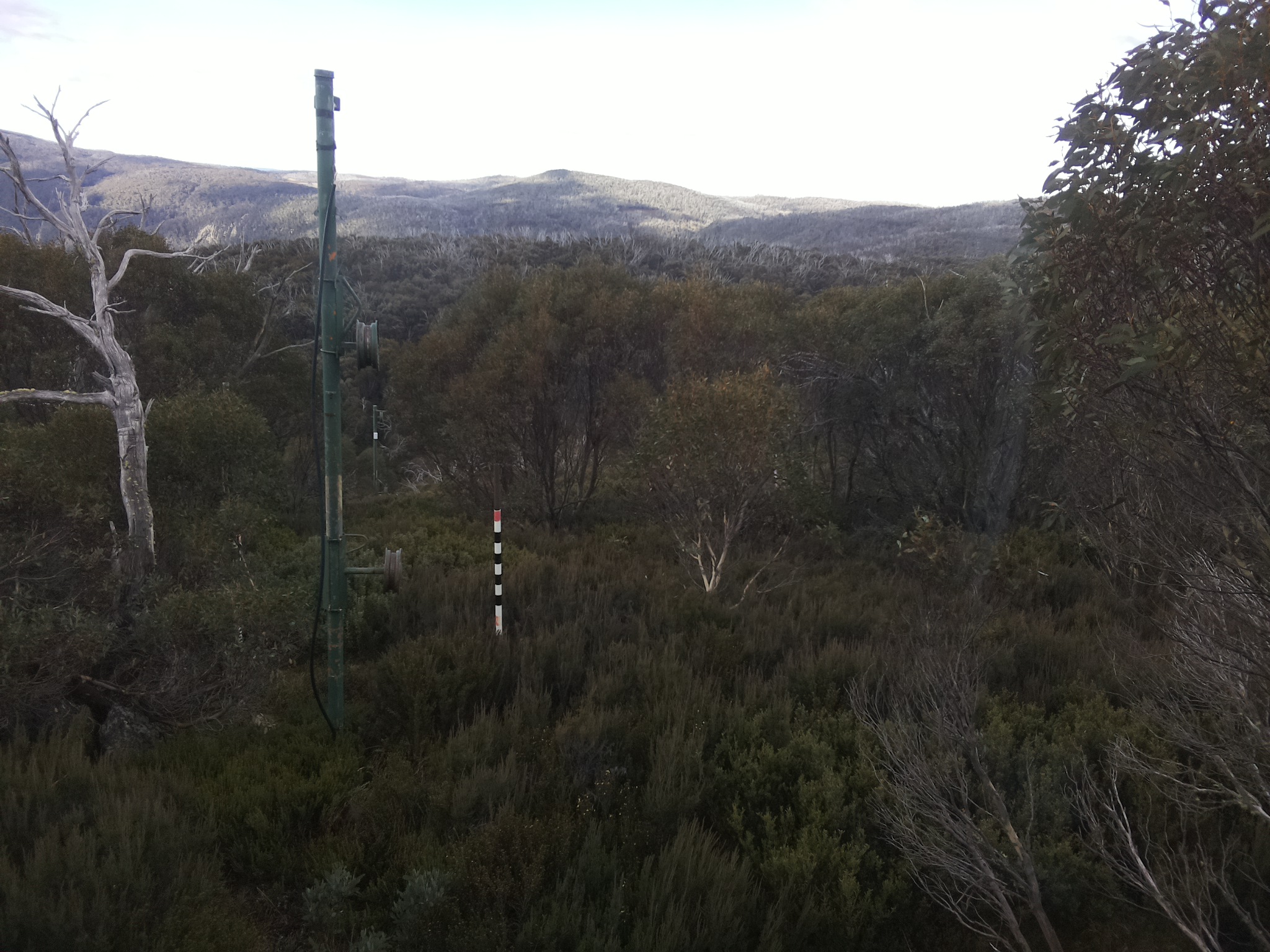 Bogong Web Cam 9:50am Monday 26th of May 2025