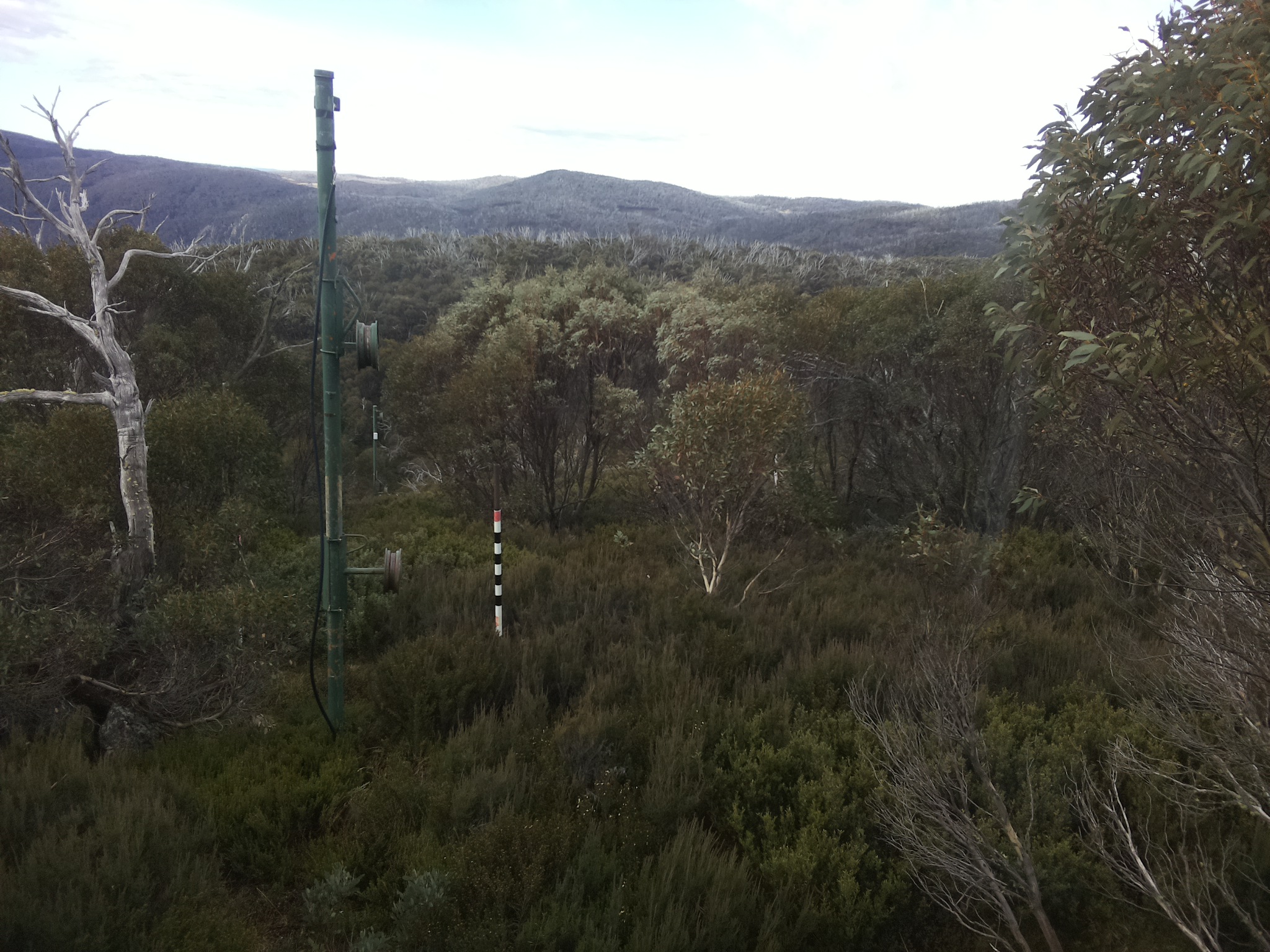 Bogong Web Cam 10:00am Monday 26th of May 2025