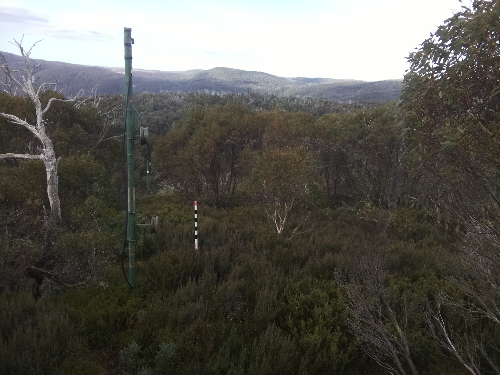 Bogong Web Cam 10:10am Monday 26th of May 2025
