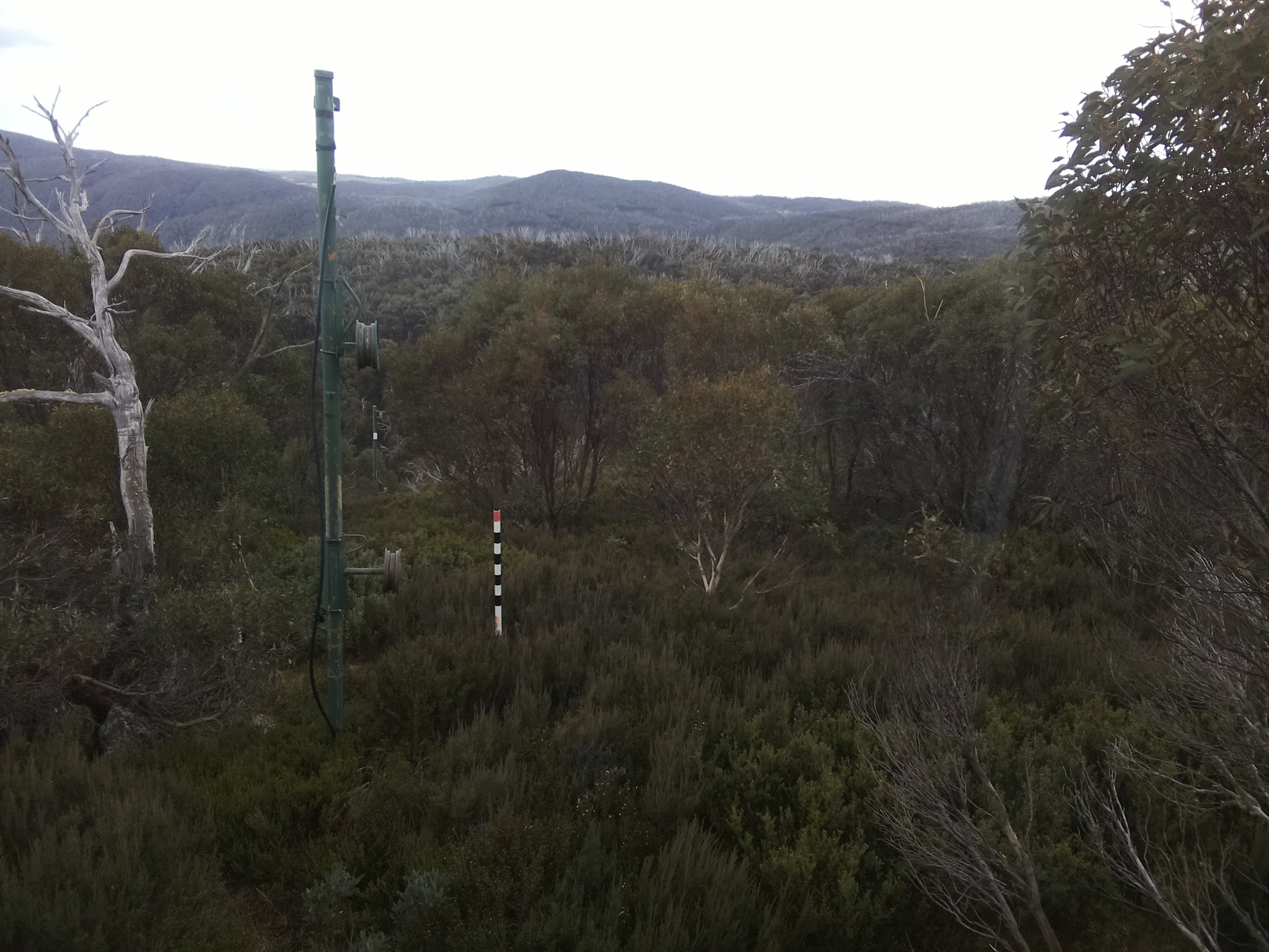 Bogong Web Cam 10:20am Monday 26th of May 2025