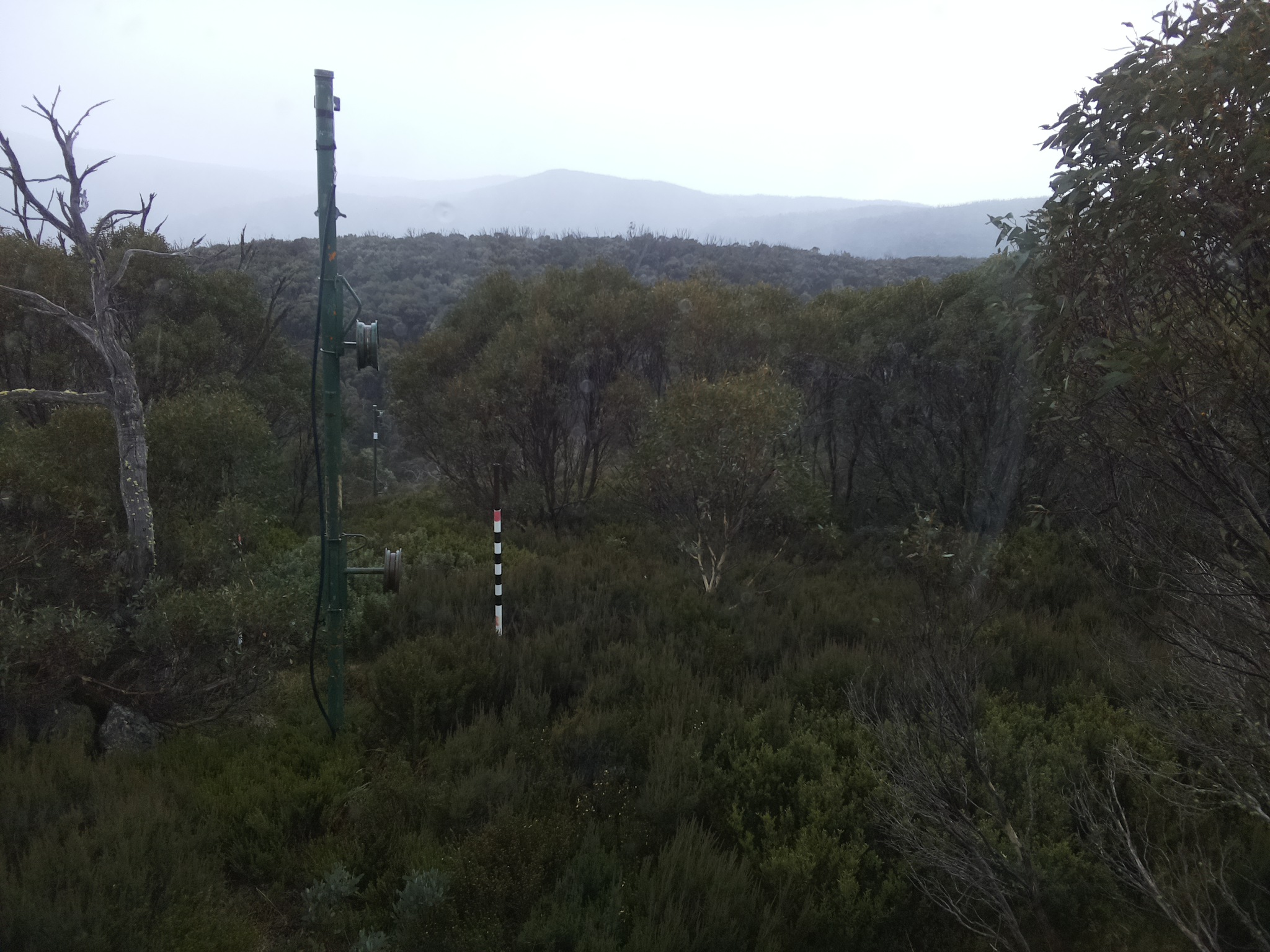 Bogong Web Cam 10:40am Monday 26th of May 2025