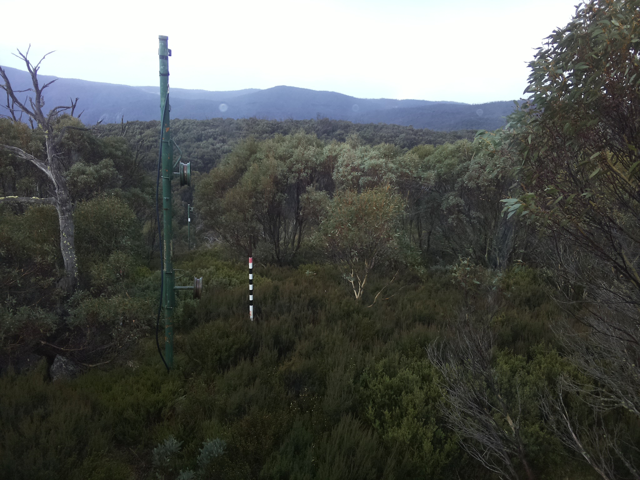 Bogong Web Cam 11:00am Monday 26th of May 2025