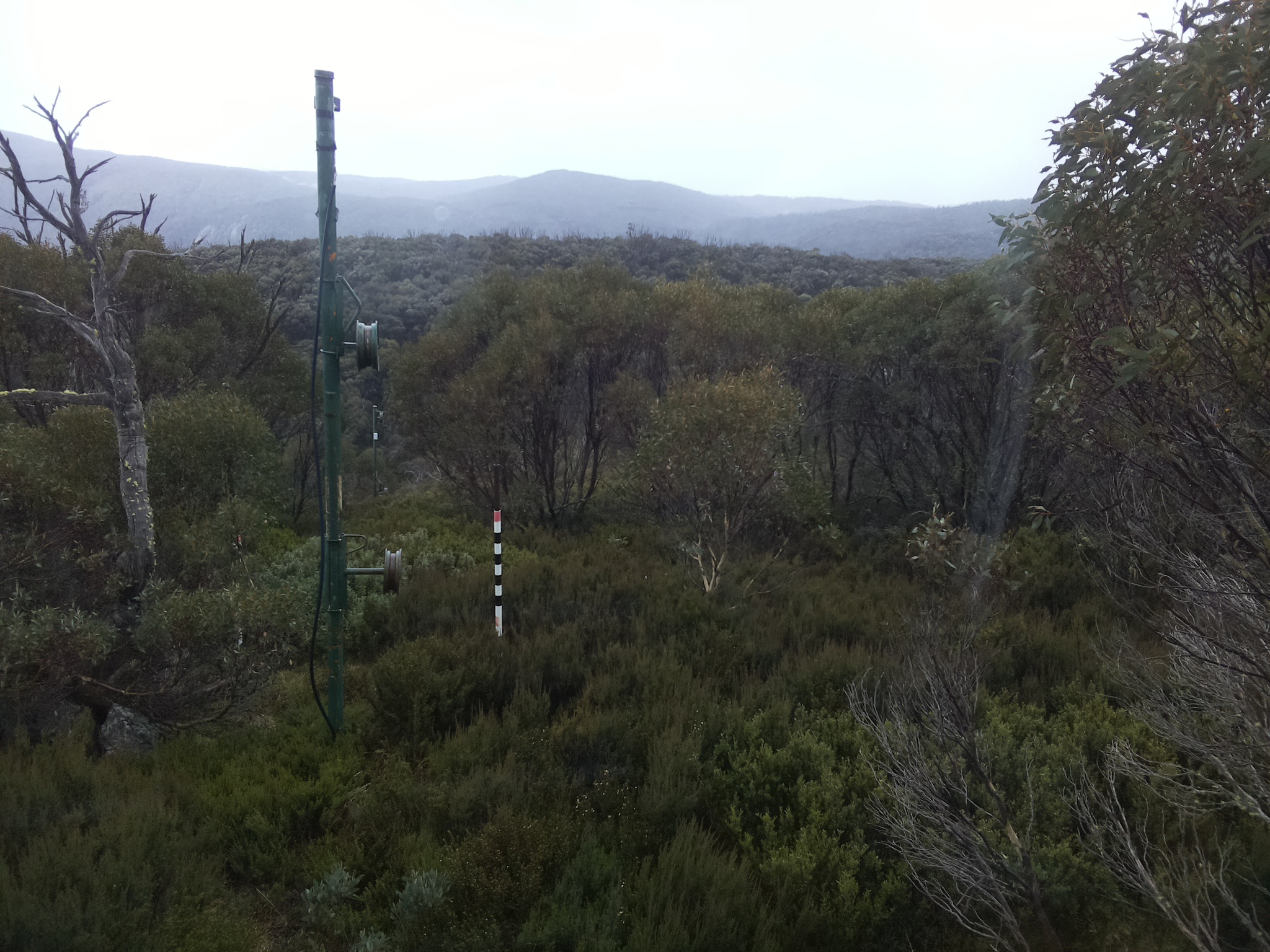 Bogong Web Cam 11:10am Monday 26th of May 2025