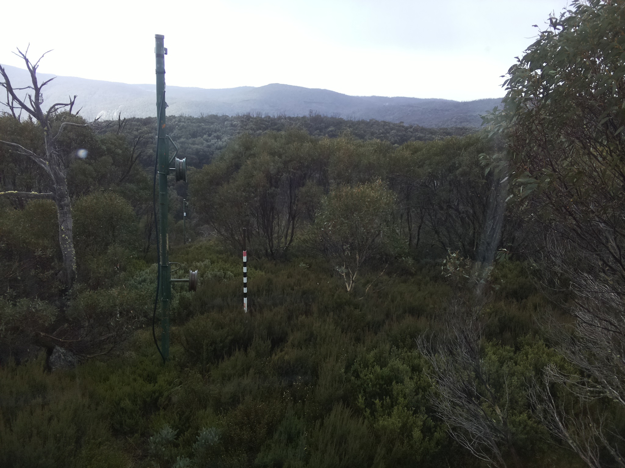Bogong Web Cam 11:30am Monday 26th of May 2025