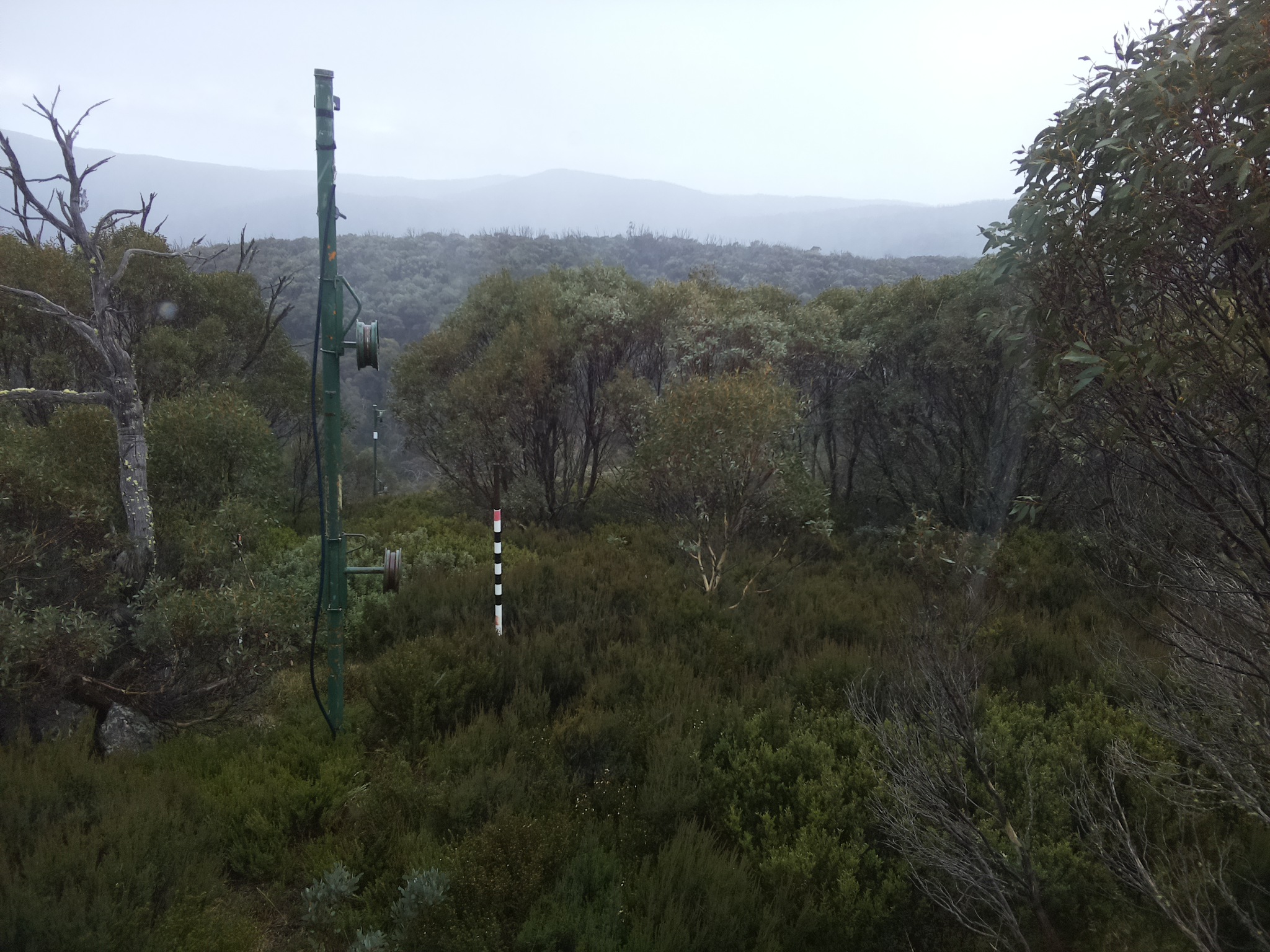 Bogong Web Cam 11:40am Monday 26th of May 2025