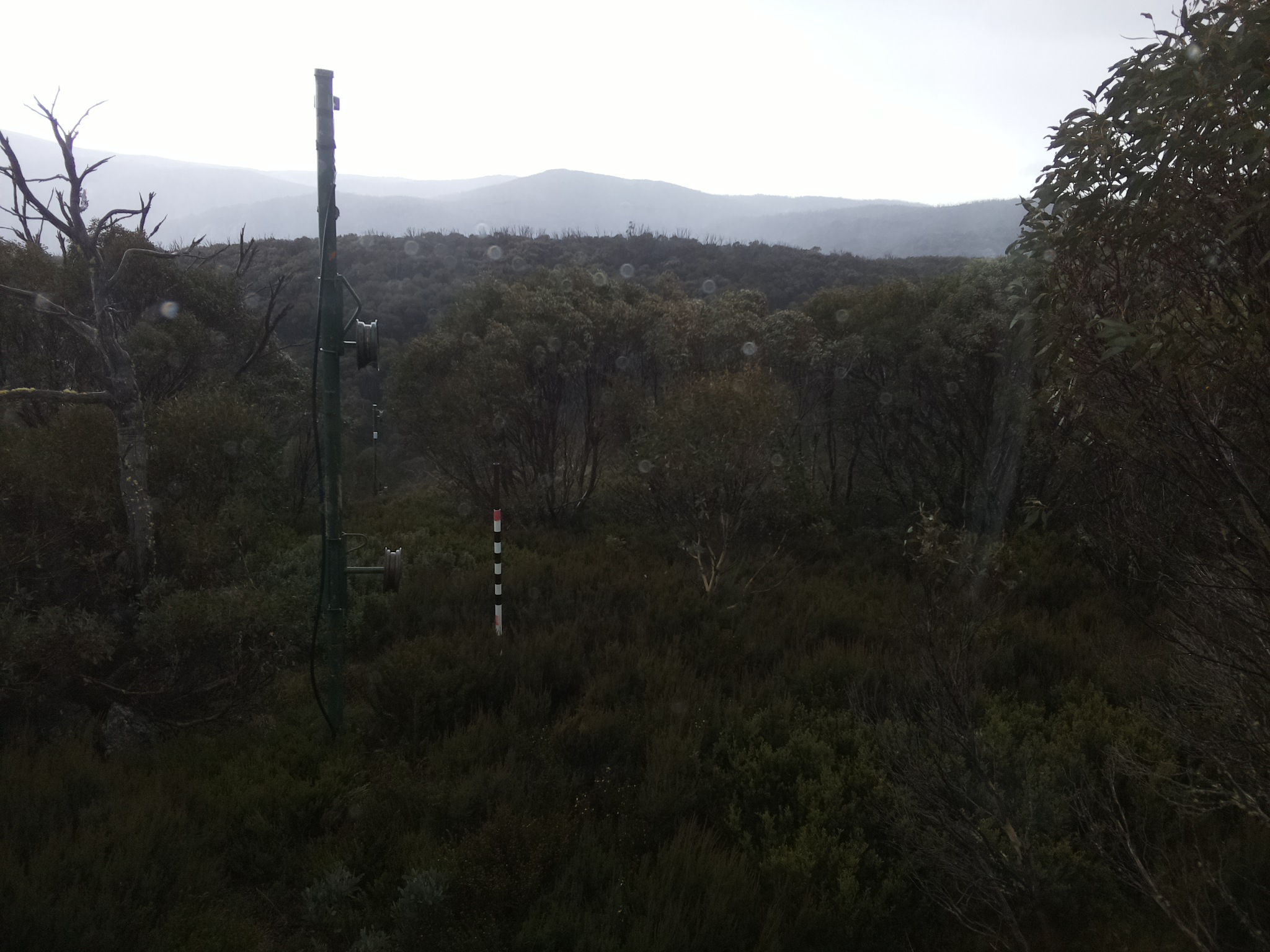 Bogong Web Cam 11:50am Monday 26th of May 2025