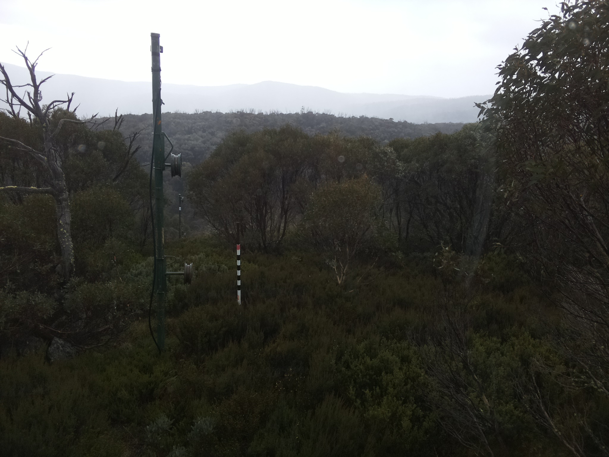 Bogong Web Cam 12:00pm Monday 26th of May 2025