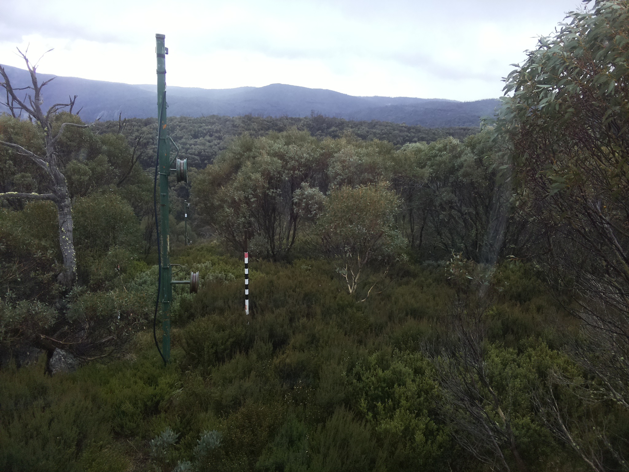 Bogong Web Cam 12:10pm Monday 26th of May 2025