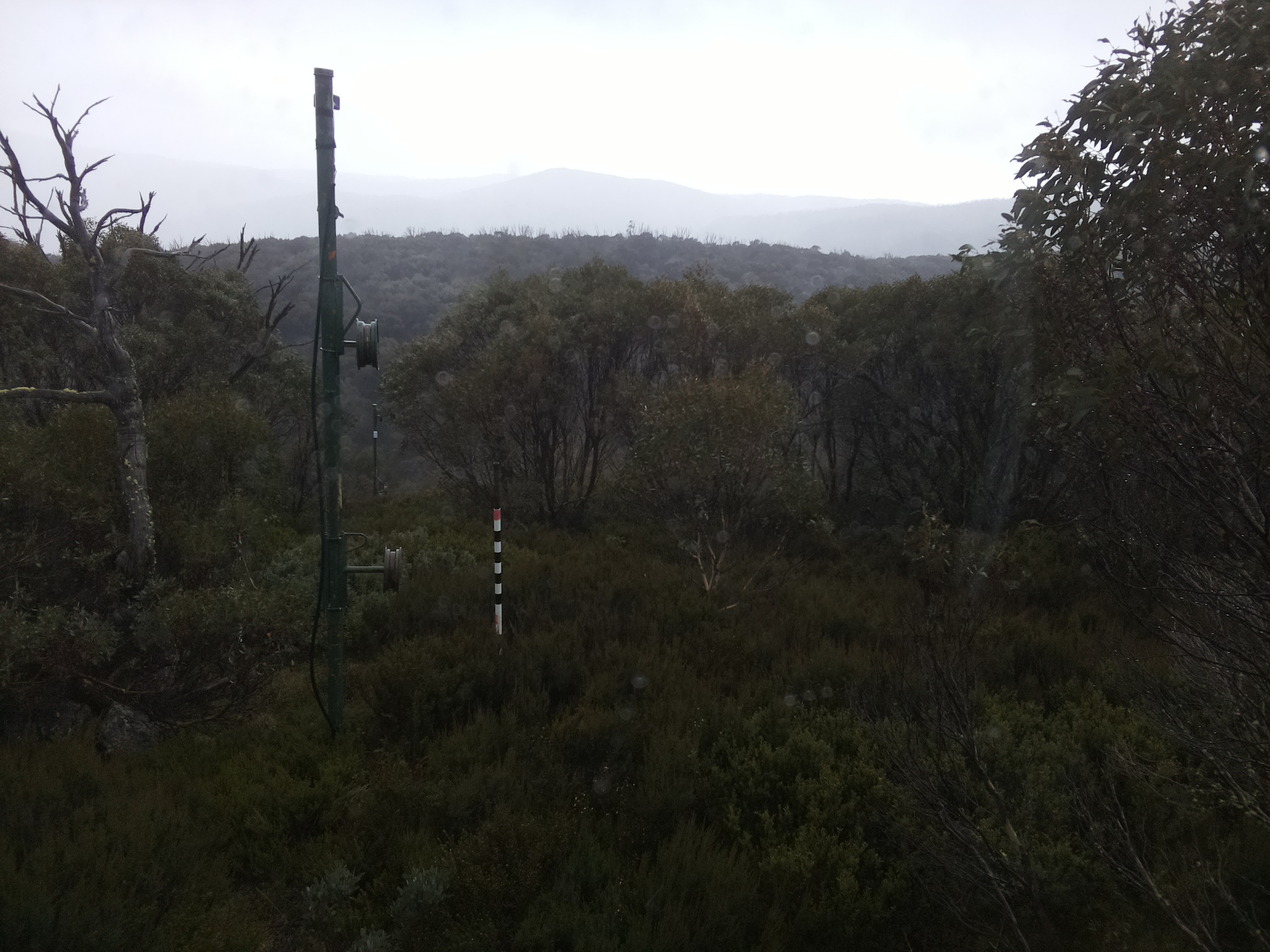 Bogong Web Cam 12:20pm Monday 26th of May 2025