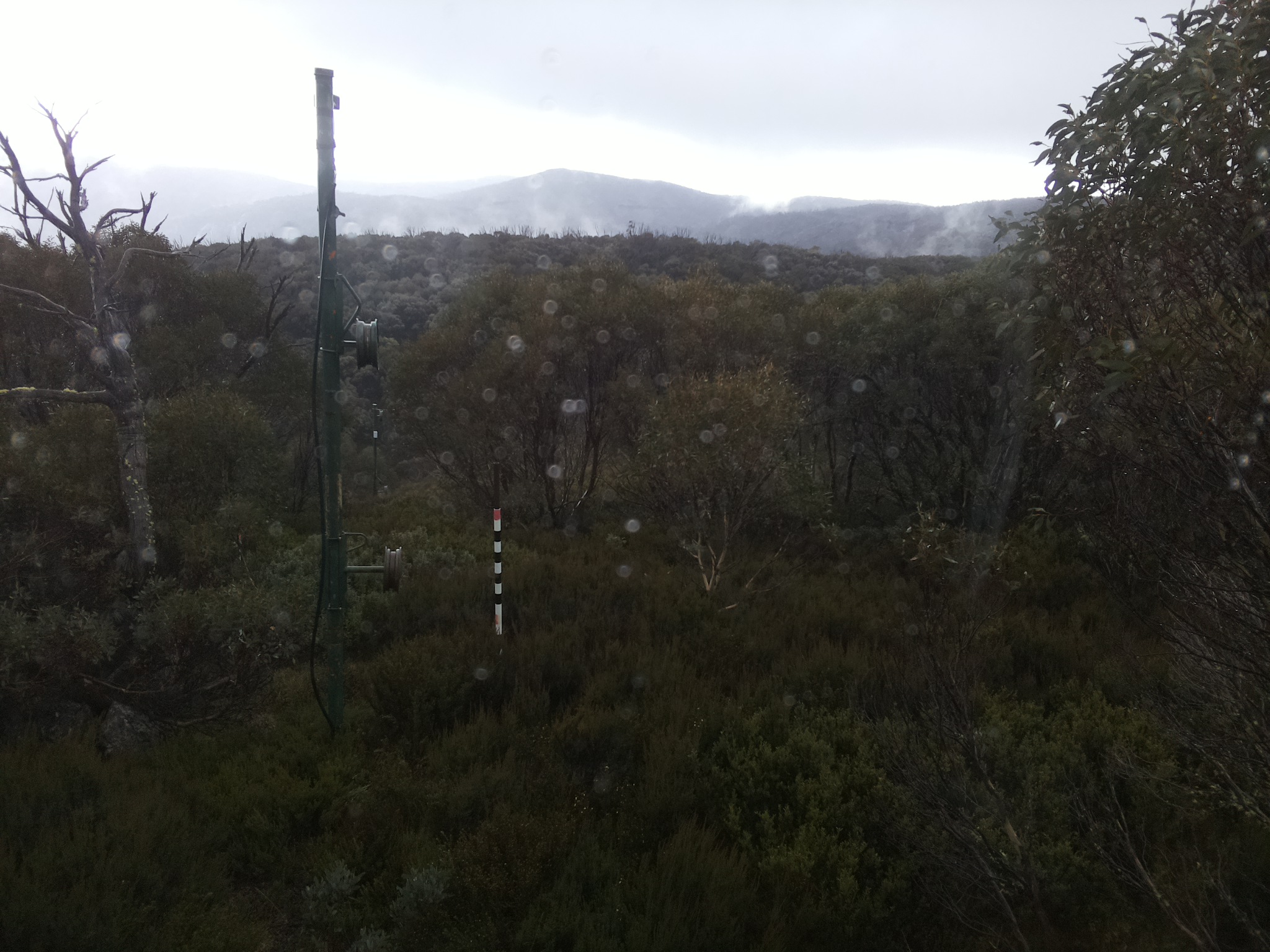 Bogong Web Cam 12:50pm Monday 26th of May 2025