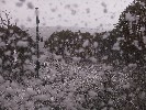 Thumbnail 10:50am Tuesday 27th of May 2025