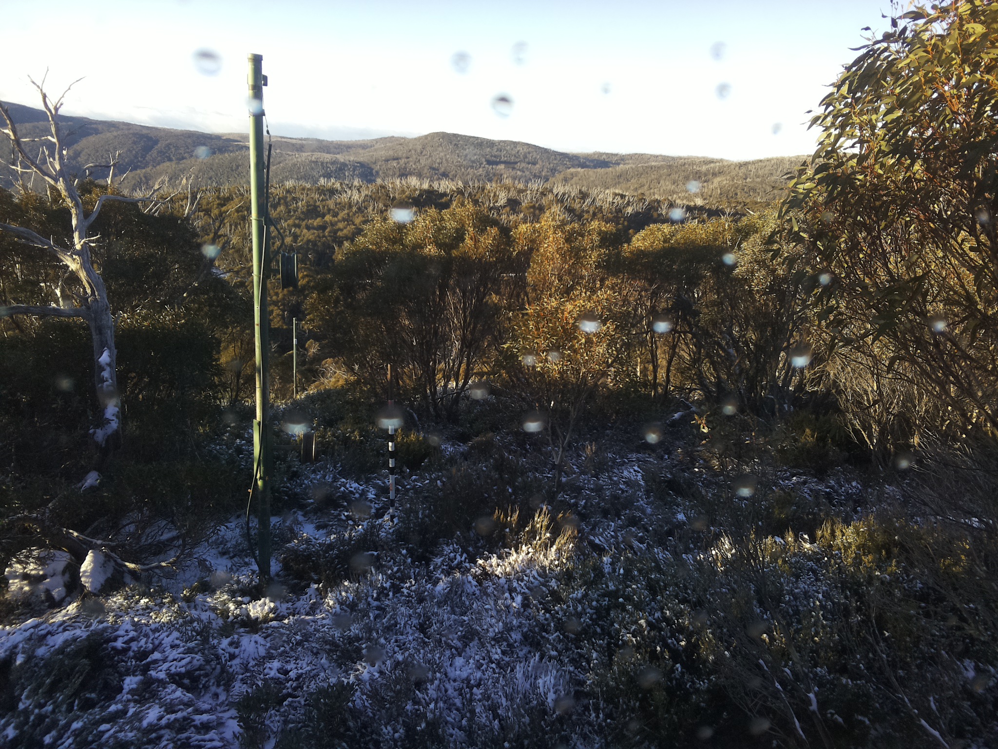 Bogong Web Cam 8:00am Wednesday 28th of May 2025