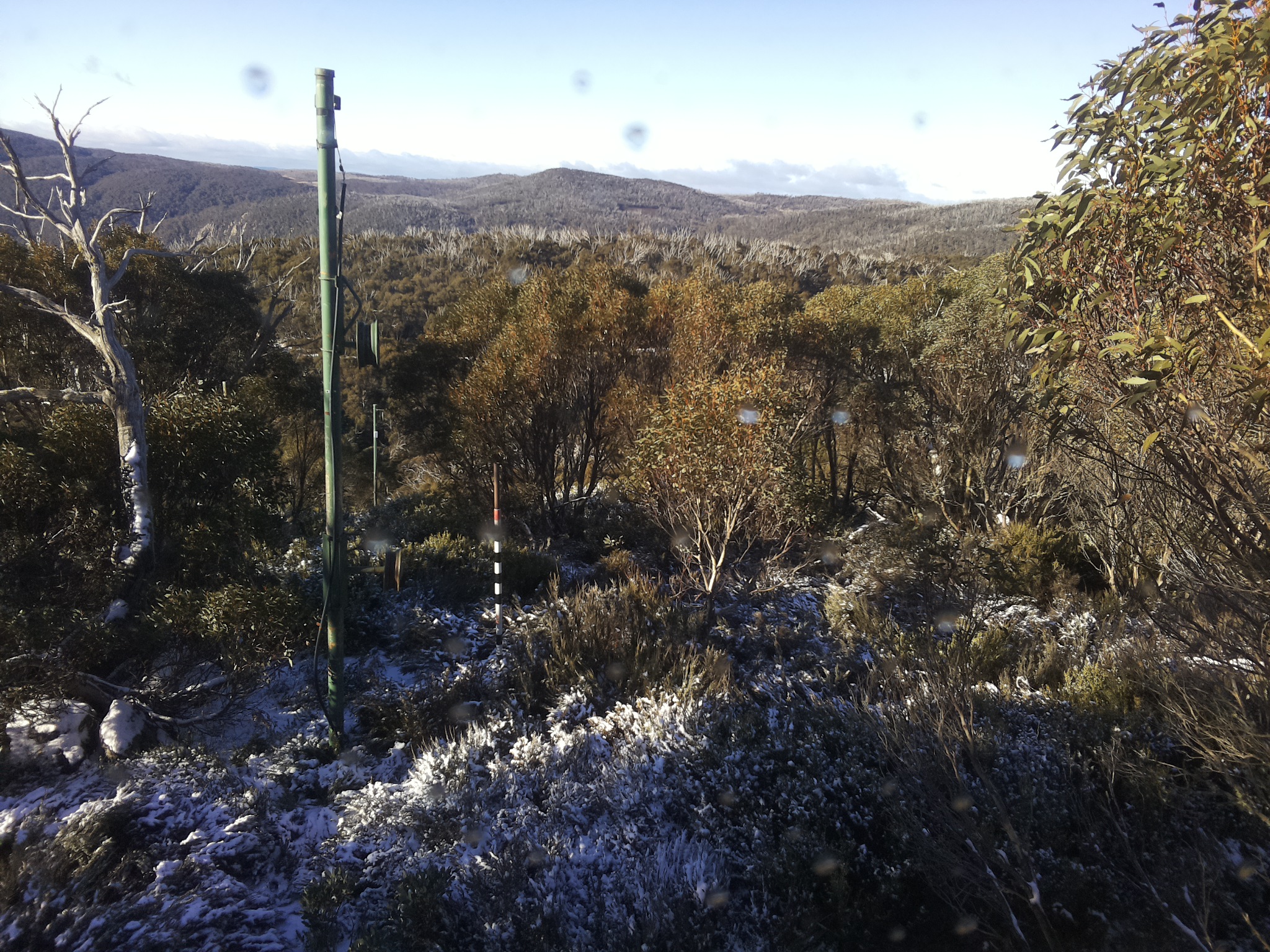 Bogong Web Cam 9:00am Wednesday 28th of May 2025
