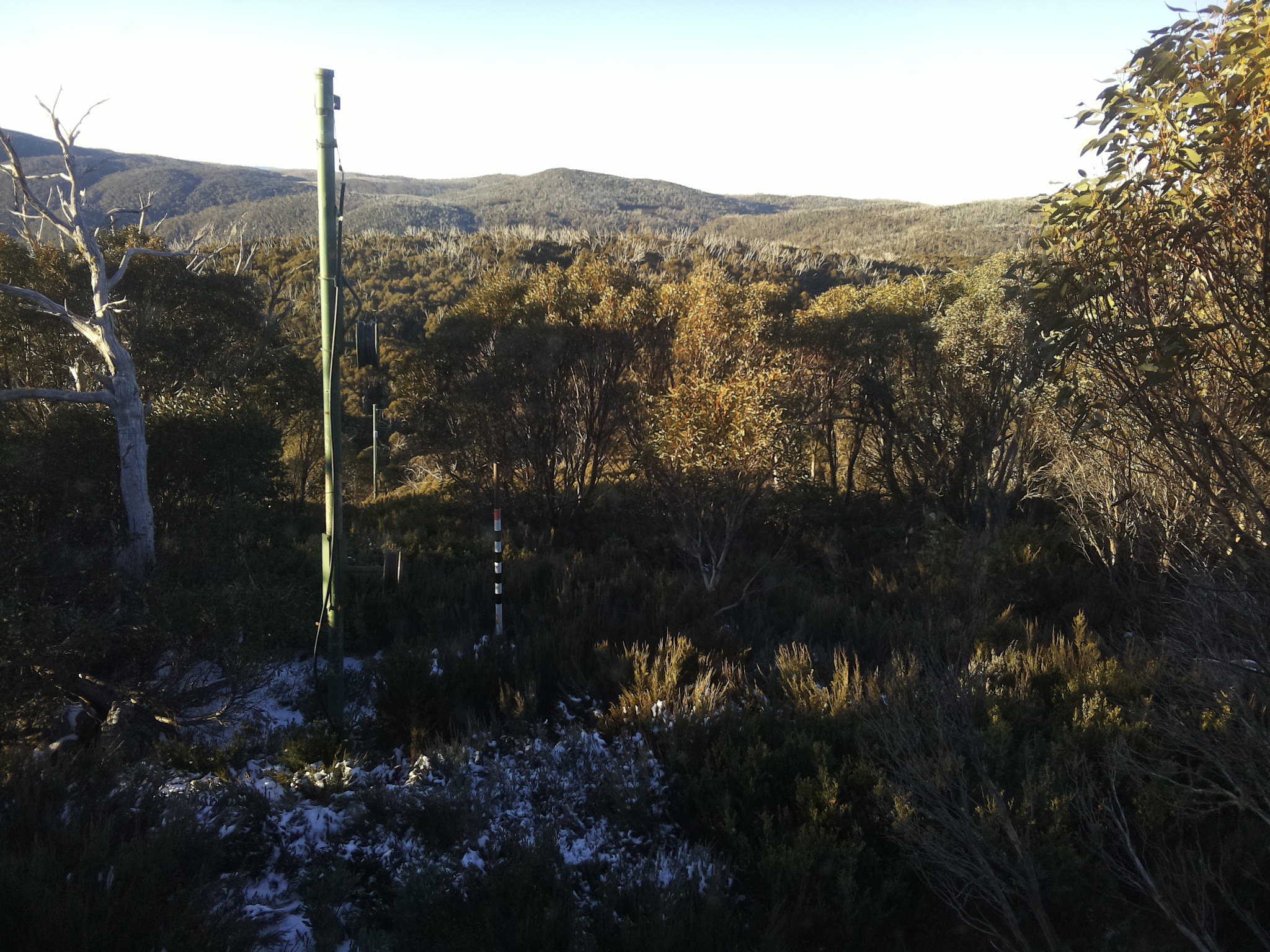 Bogong Web Cam 8:00am Thursday 29th of May 2025