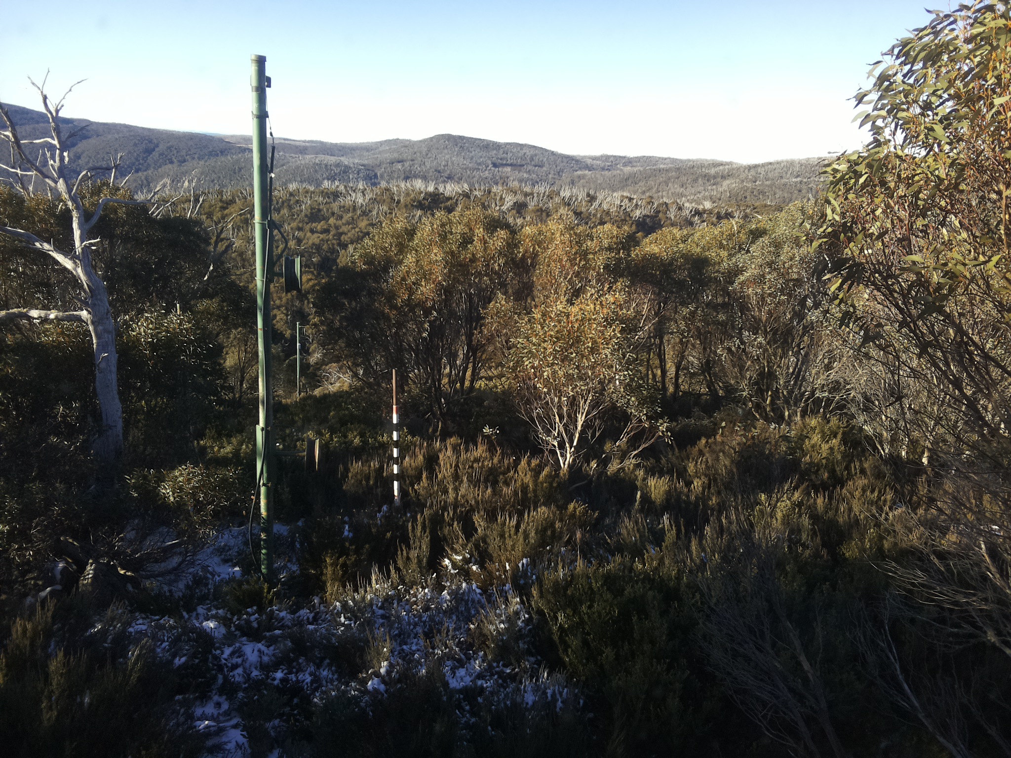 Bogong Web Cam 8:40am Thursday 29th of May 2025