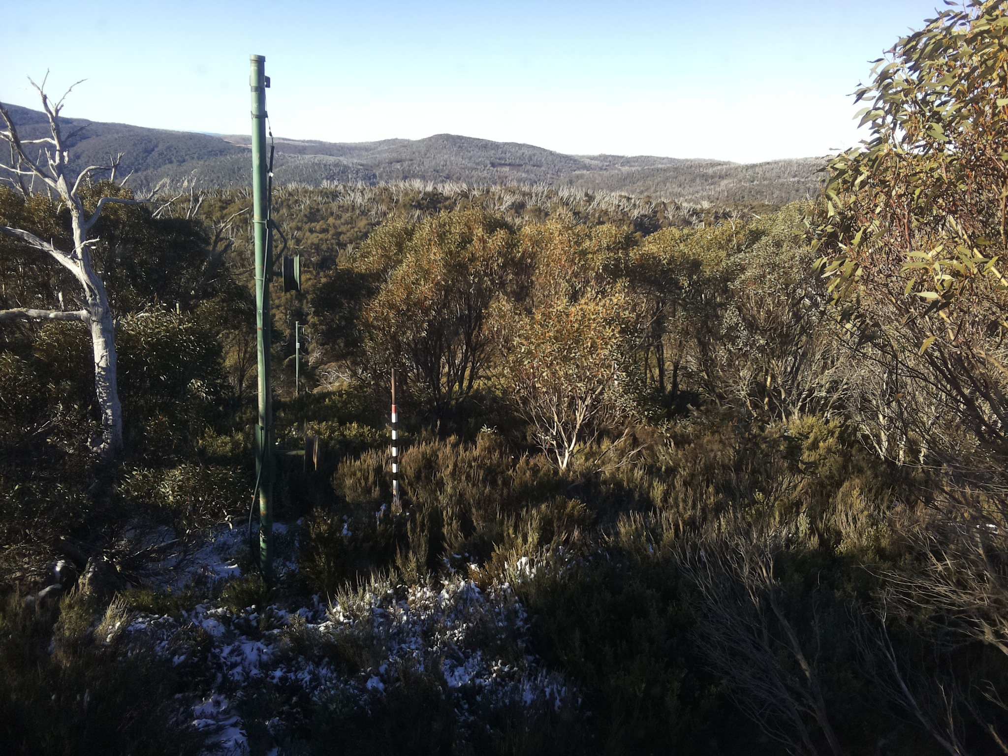 Bogong Web Cam 9:00am Thursday 29th of May 2025