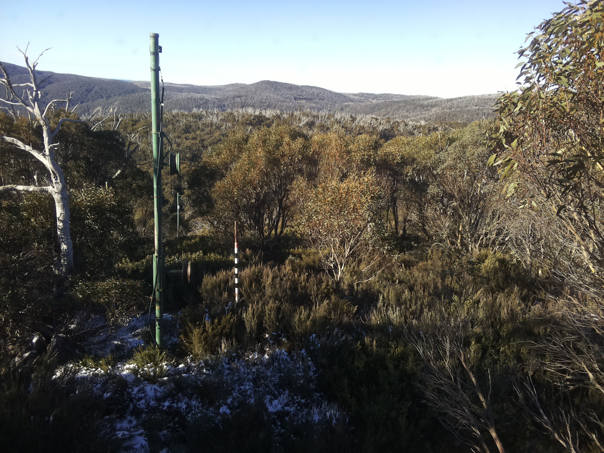 Bogong Web Cam 9:20am Thursday 29th of May 2025