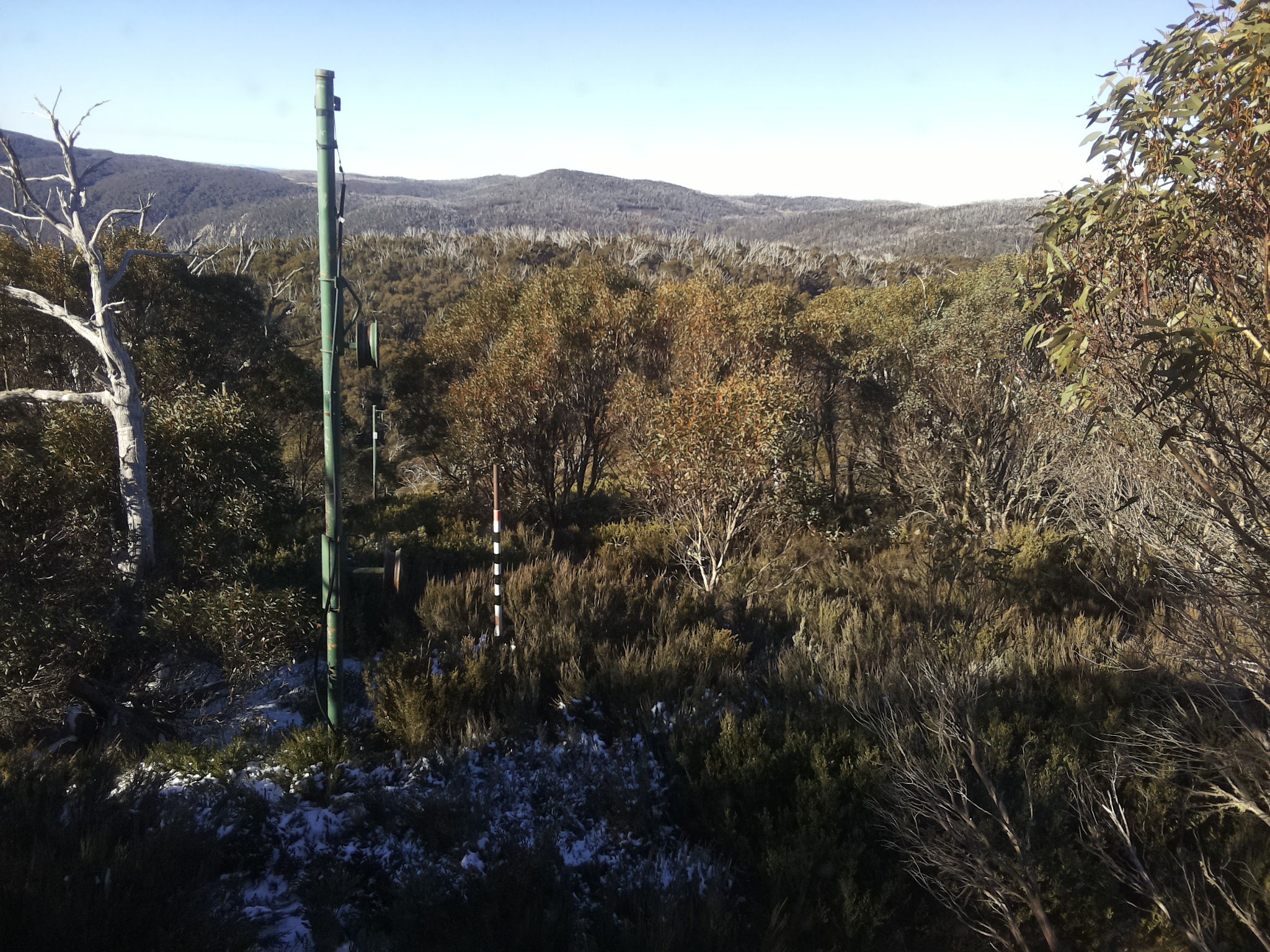 Bogong Web Cam 9:30am Thursday 29th of May 2025