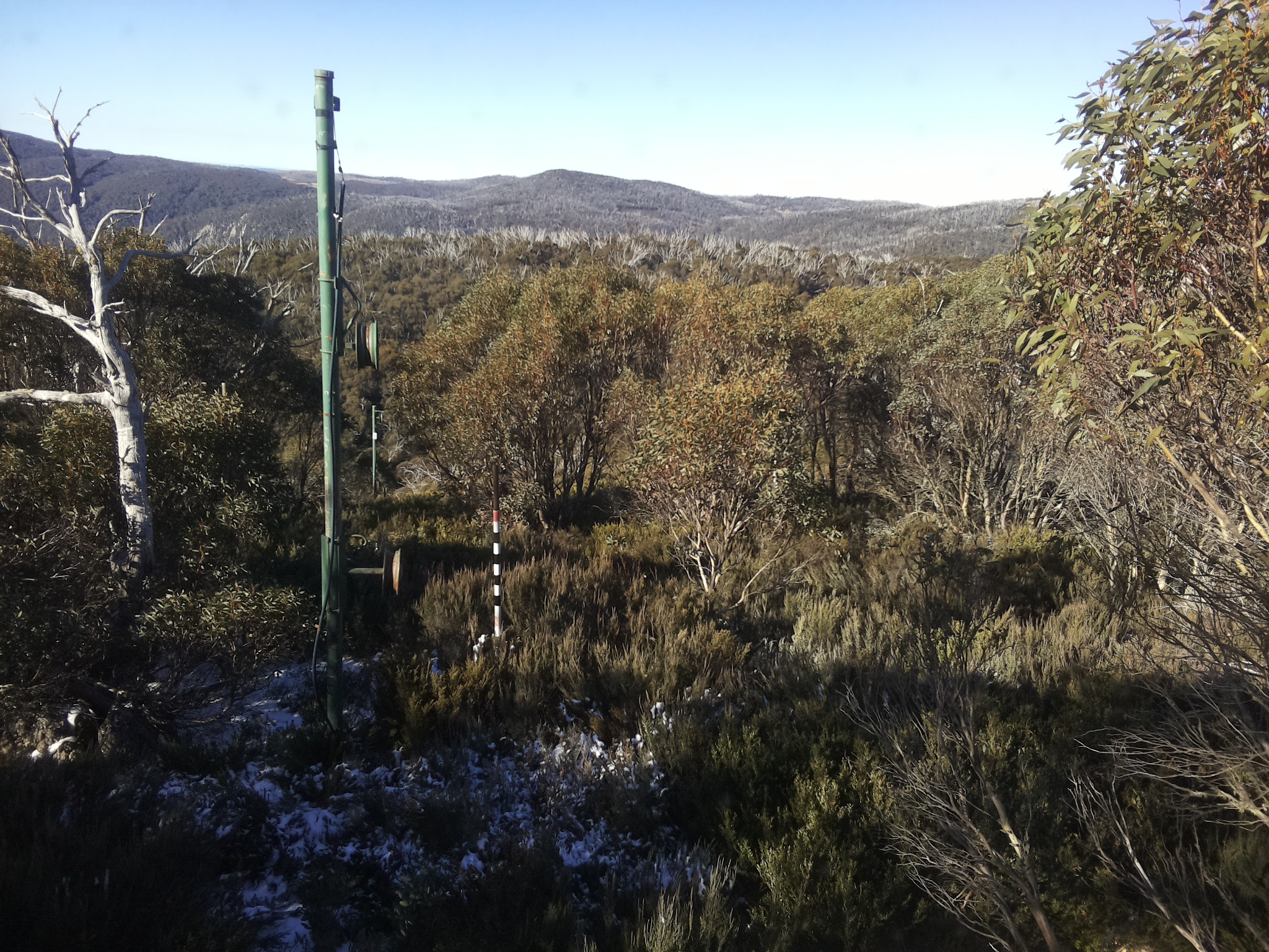 Bogong Web Cam 10:00am Thursday 29th of May 2025