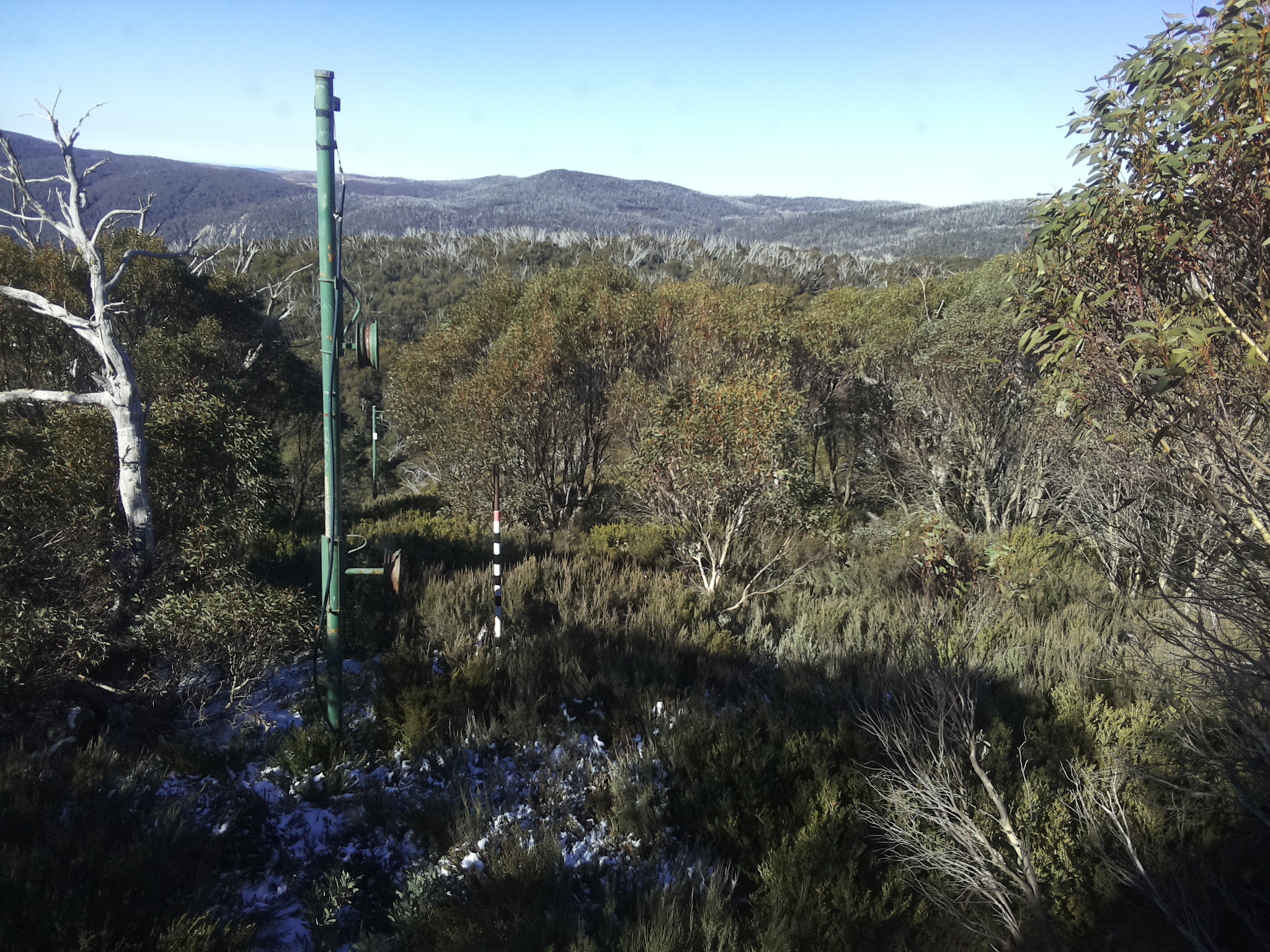 Bogong Web Cam 10:50am Thursday 29th of May 2025