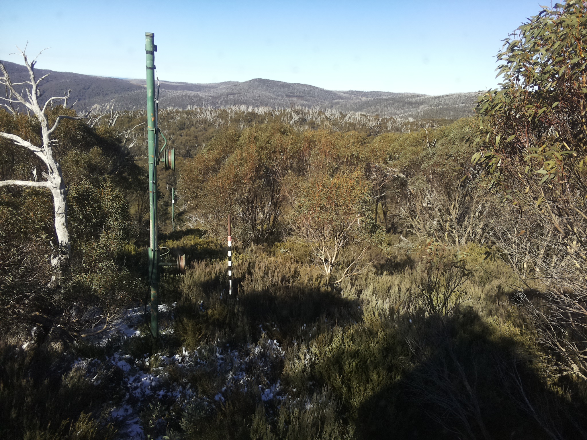 Bogong Web Cam 11:40am Thursday 29th of May 2025