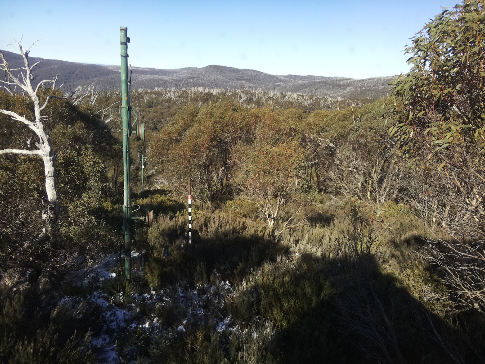 Bogong Web Cam 11:50am Thursday 29th of May 2025