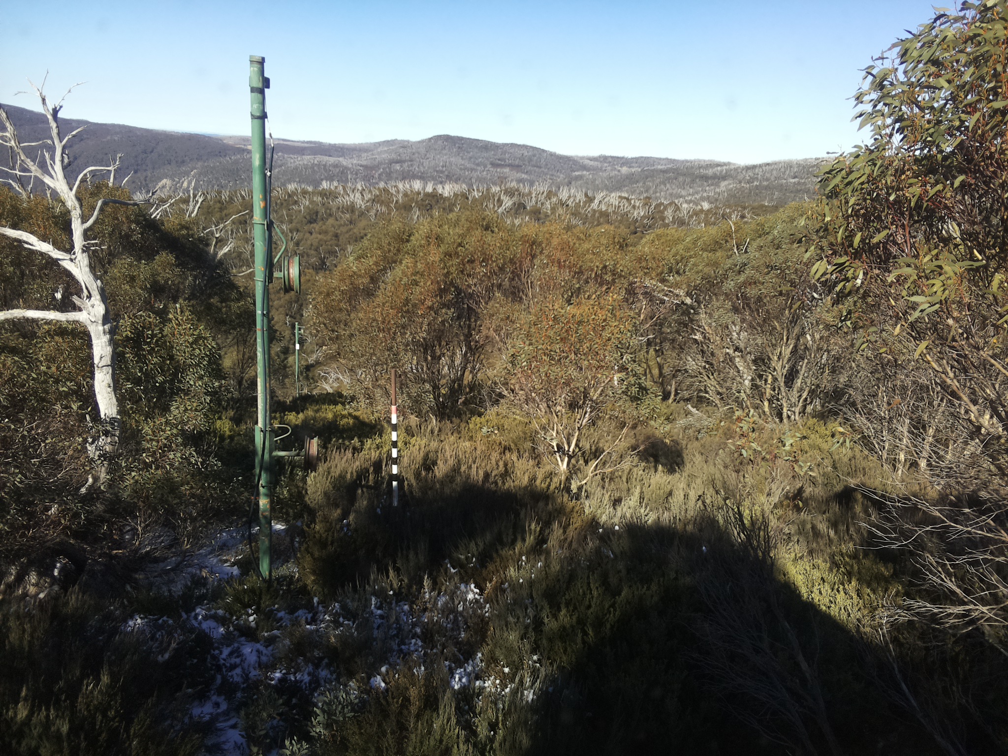 Bogong Web Cam 12:00pm Thursday 29th of May 2025