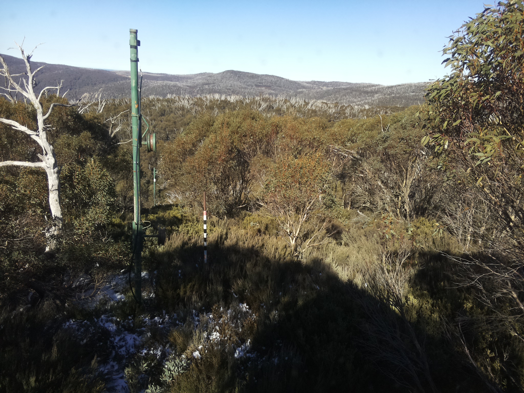 Bogong Web Cam 12:20pm Thursday 29th of May 2025
