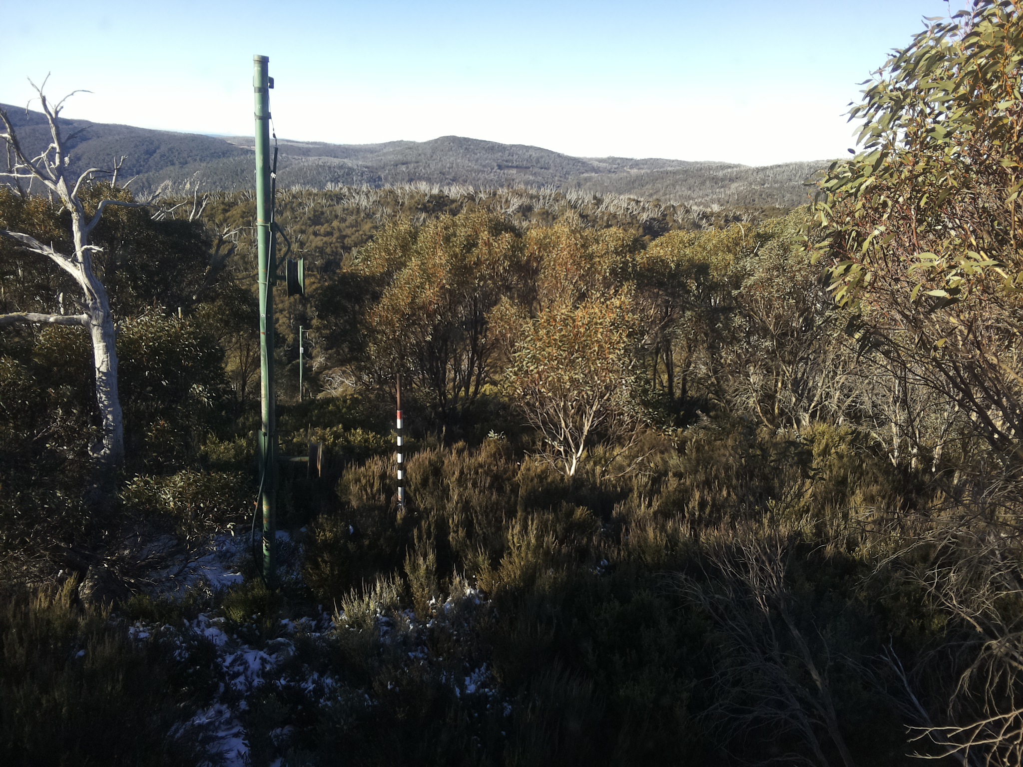 Bogong Web Cam 9:00am Friday 30th of May 2025