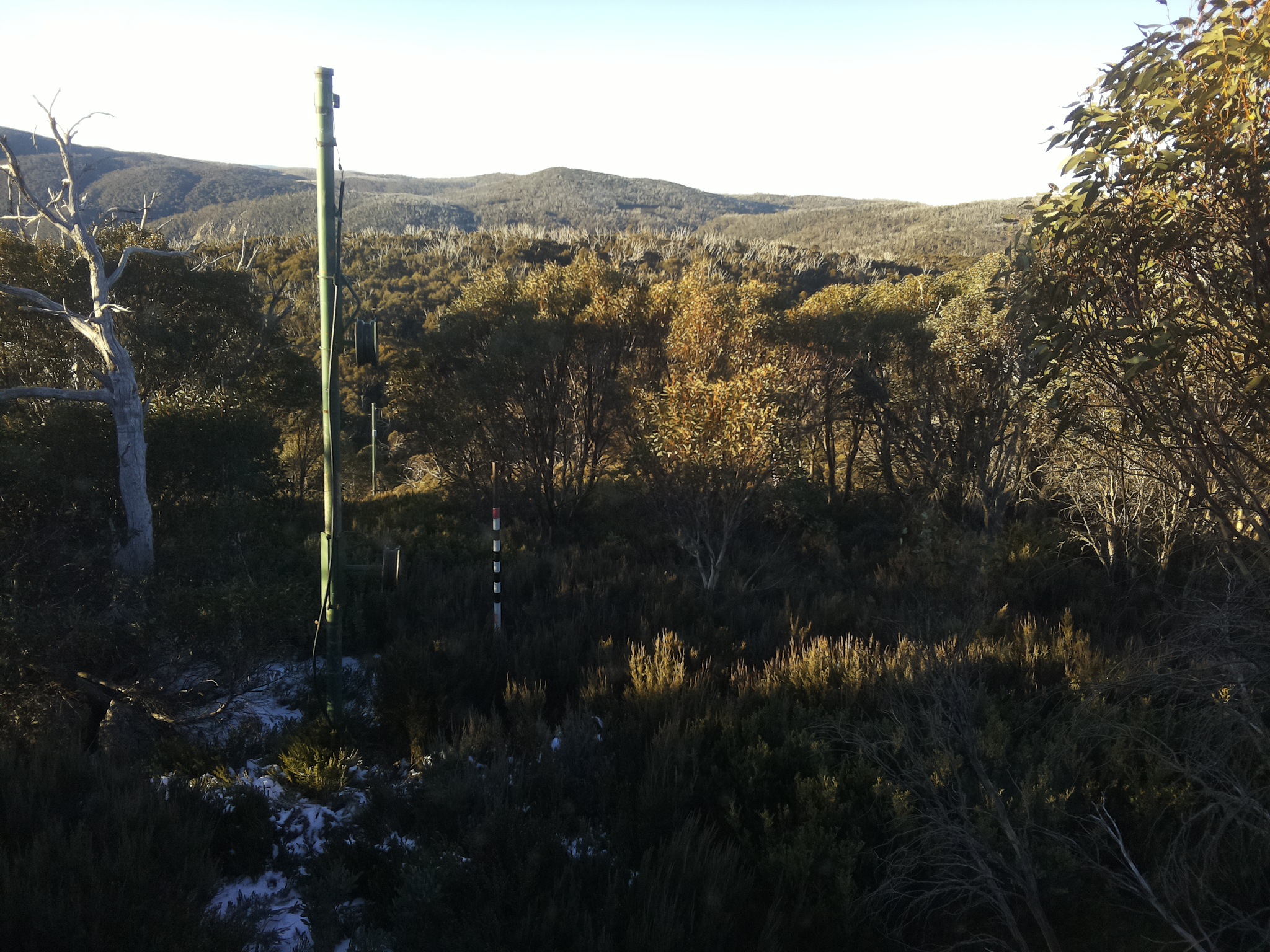 Bogong Web Cam 8:00am Saturday 31st of May 2025