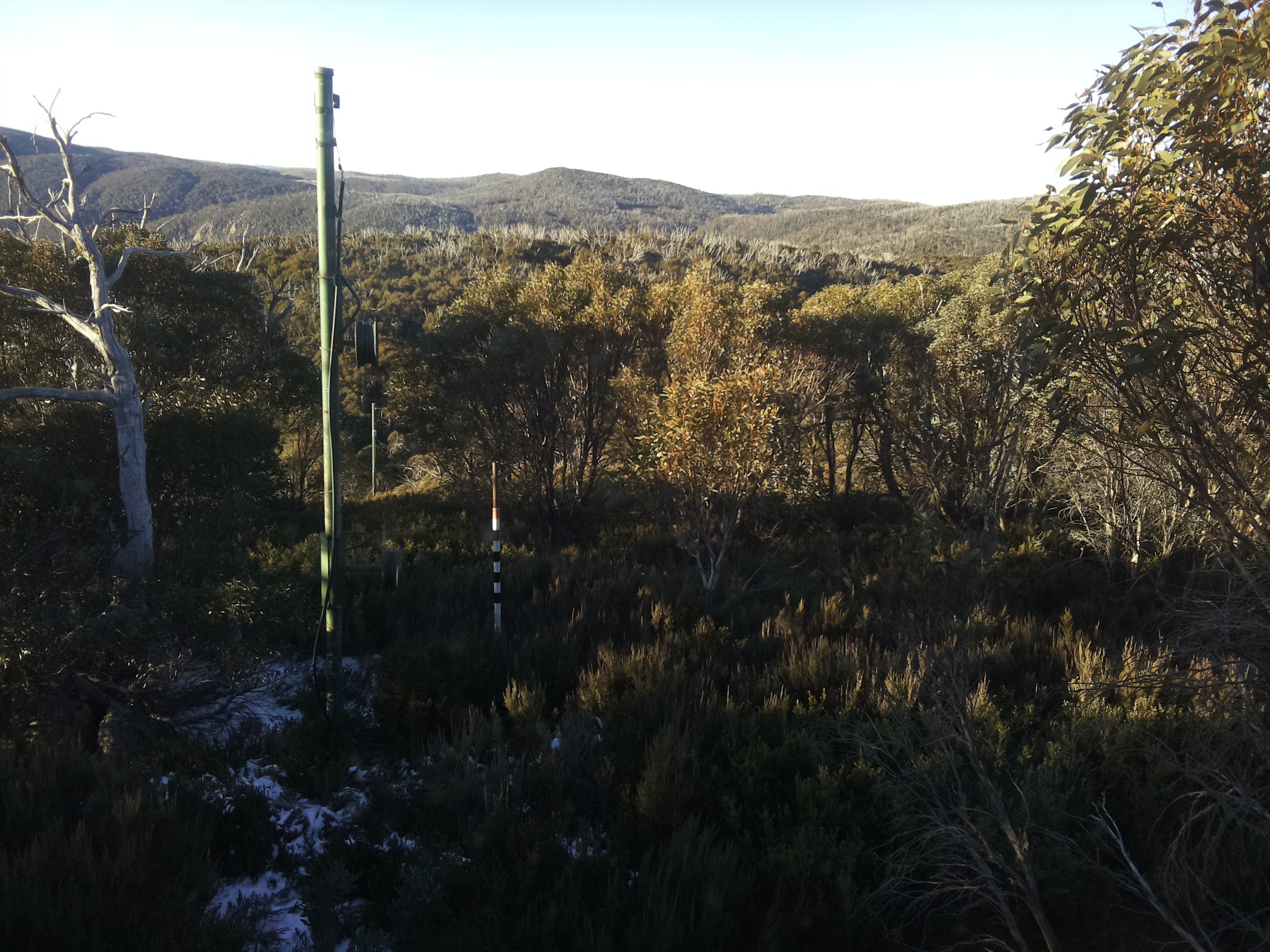 Bogong Web Cam 8:10am Saturday 31st of May 2025