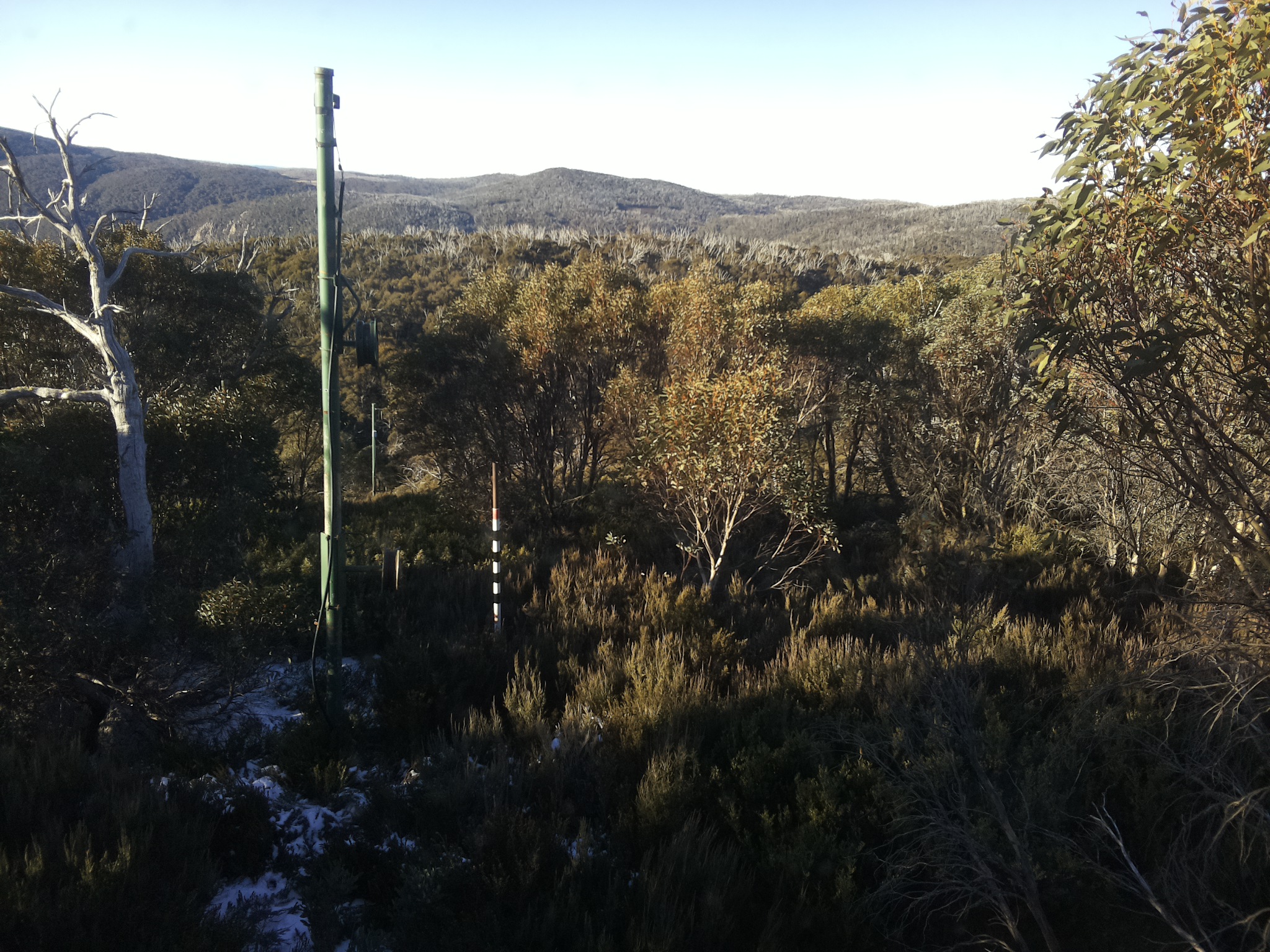 Bogong Web Cam 8:30am Saturday 31st of May 2025