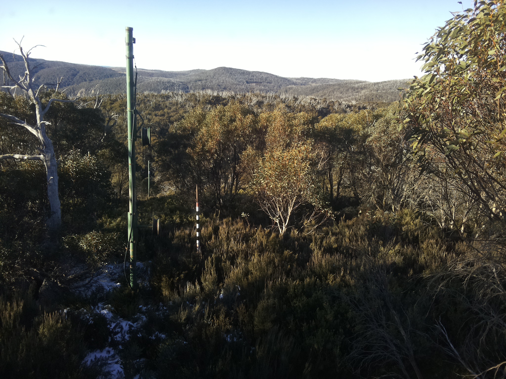 Bogong Web Cam 8:40am Saturday 31st of May 2025