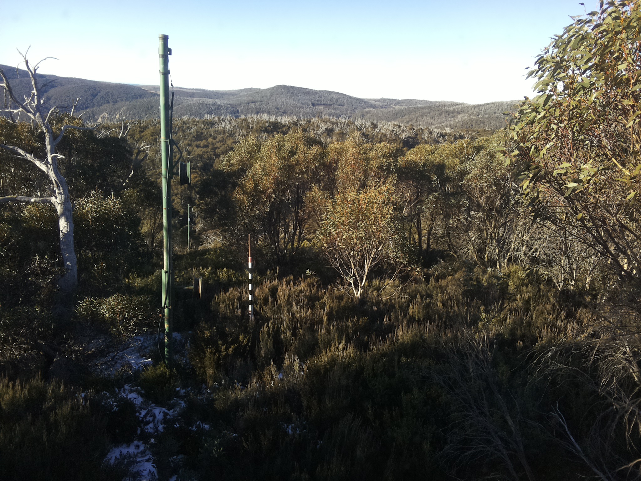 Bogong Web Cam 8:50am Saturday 31st of May 2025