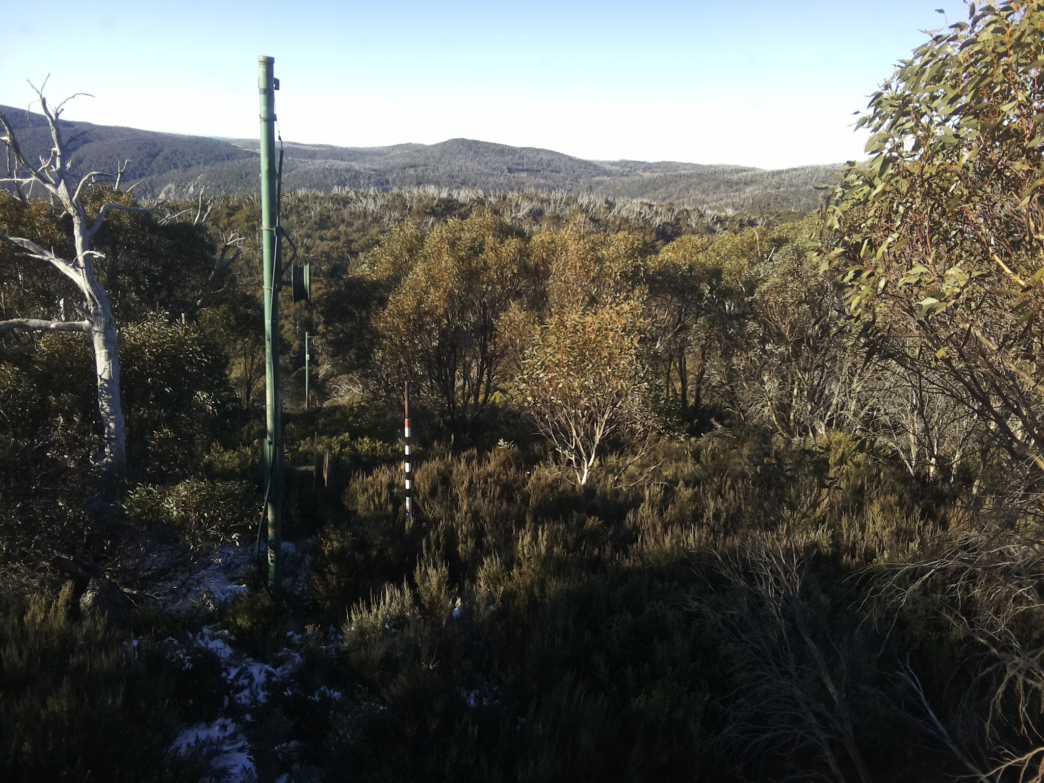 Bogong Web Cam 9:00am Saturday 31st of May 2025