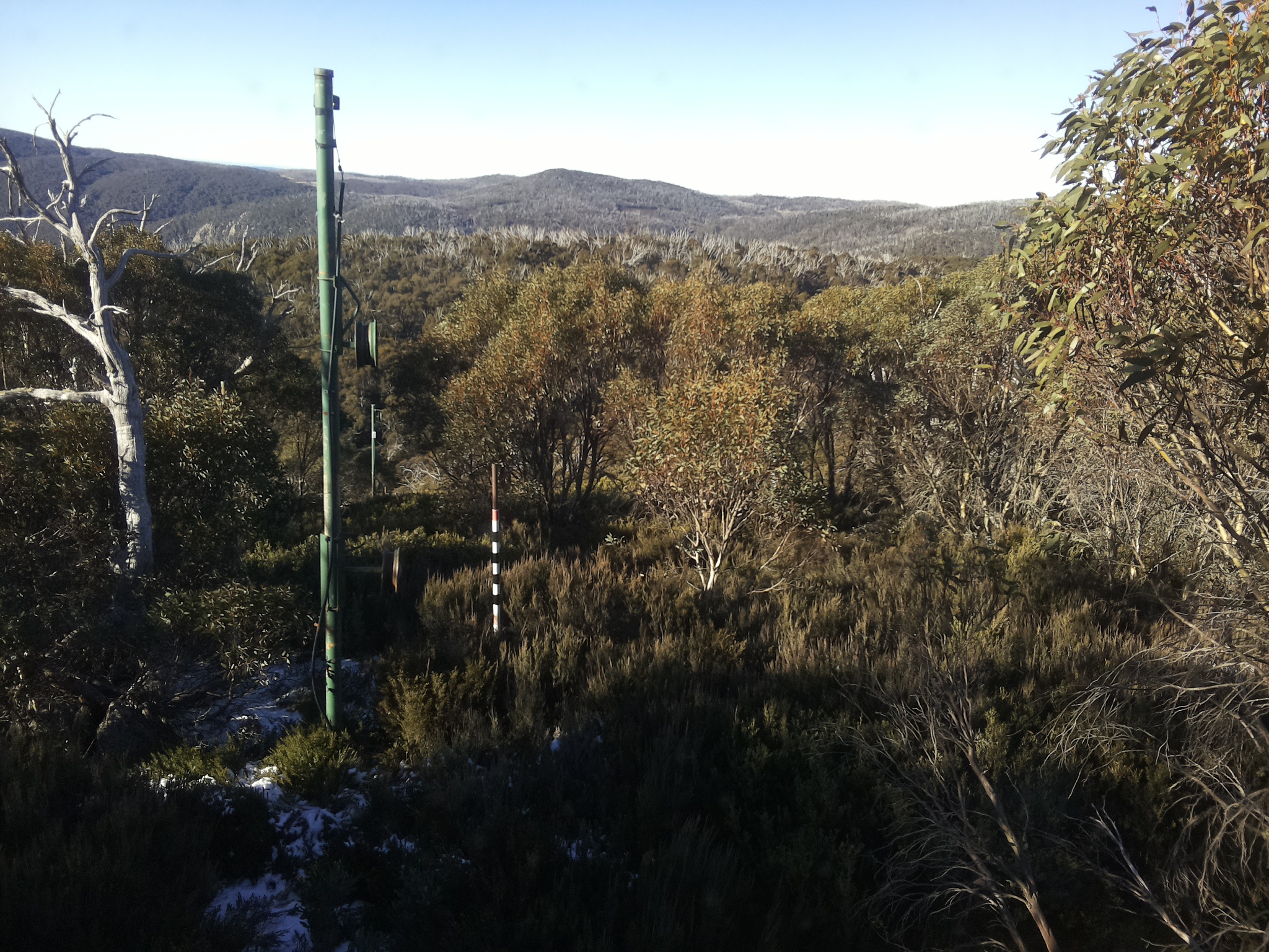 Bogong Web Cam 9:20am Saturday 31st of May 2025